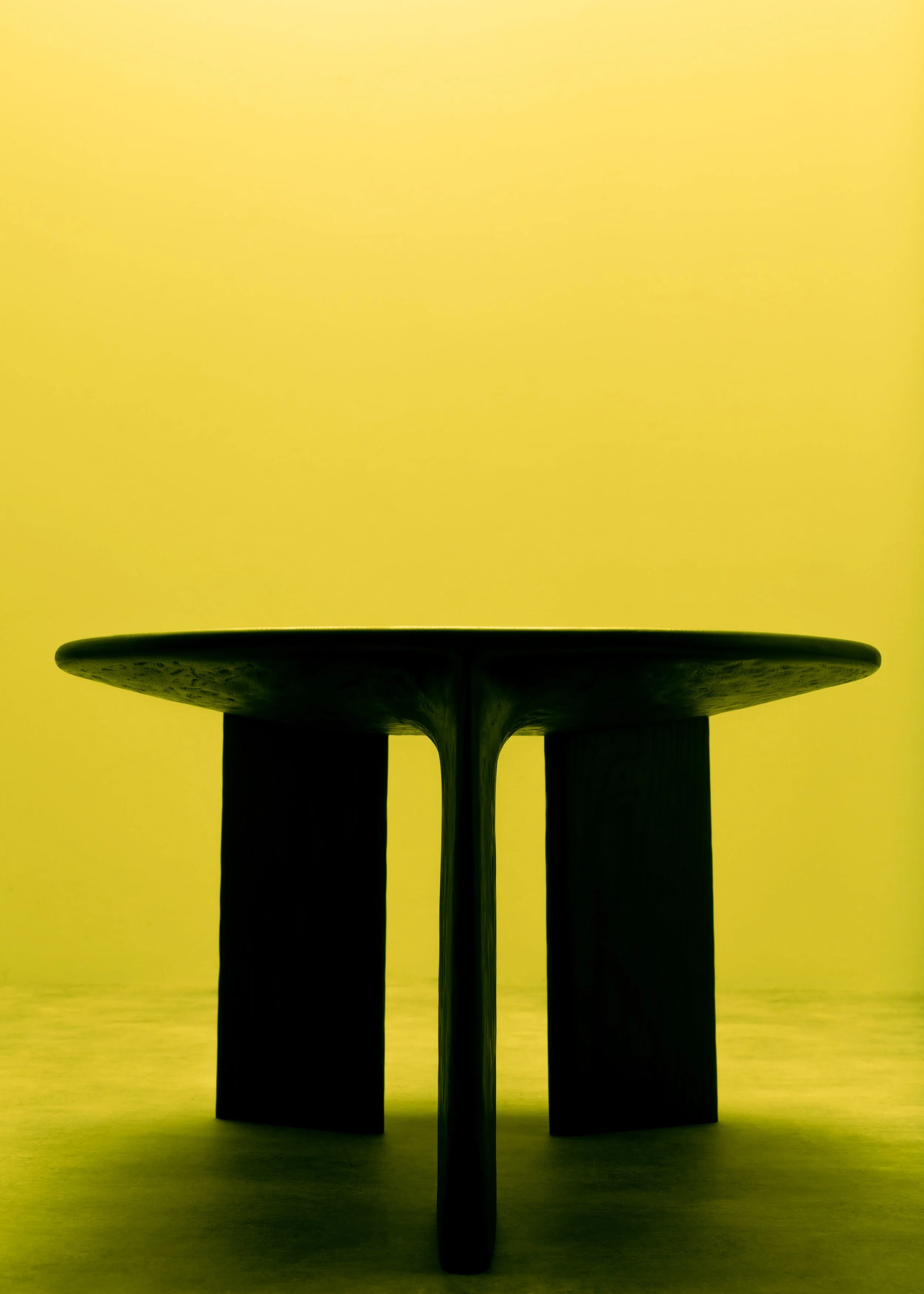 2022_09_27_Sebastien meubles-325-Modifier.jpg