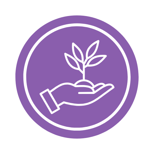 A hand golding a seedling