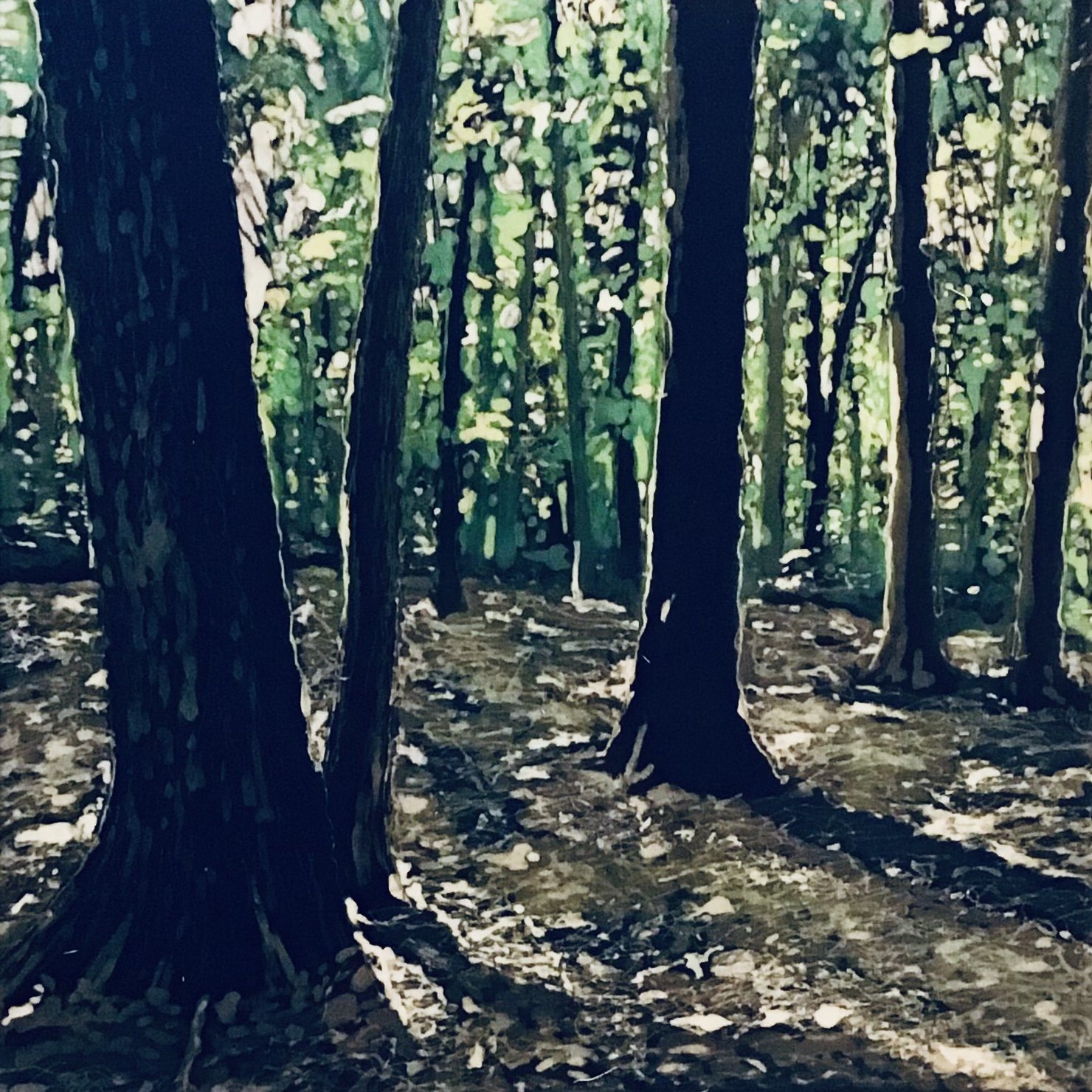 Robert's Walk One