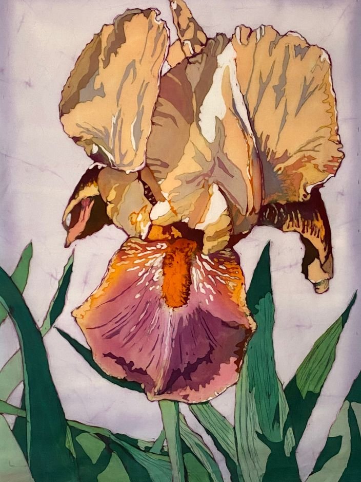 Iris