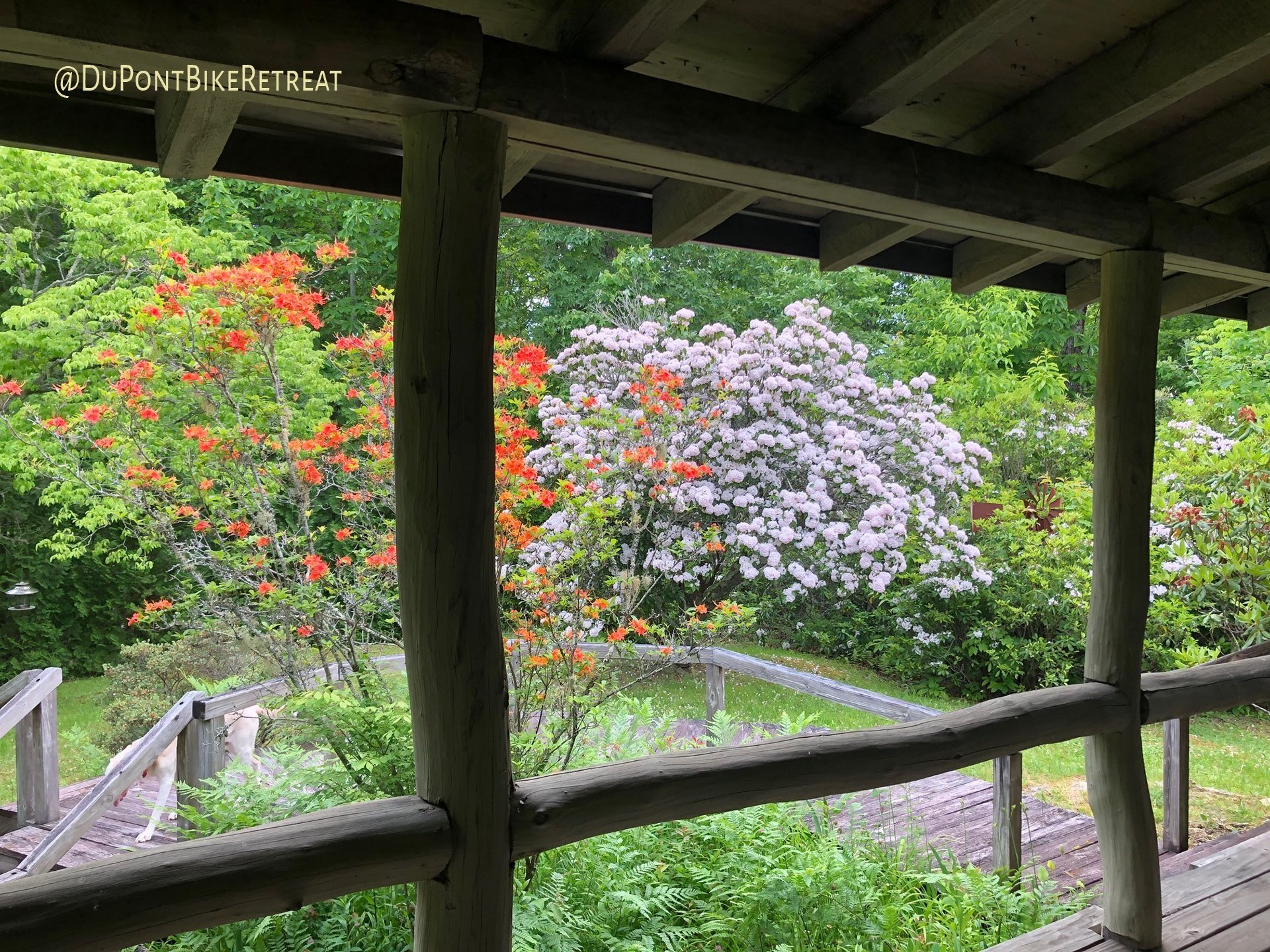 Spring view from porch