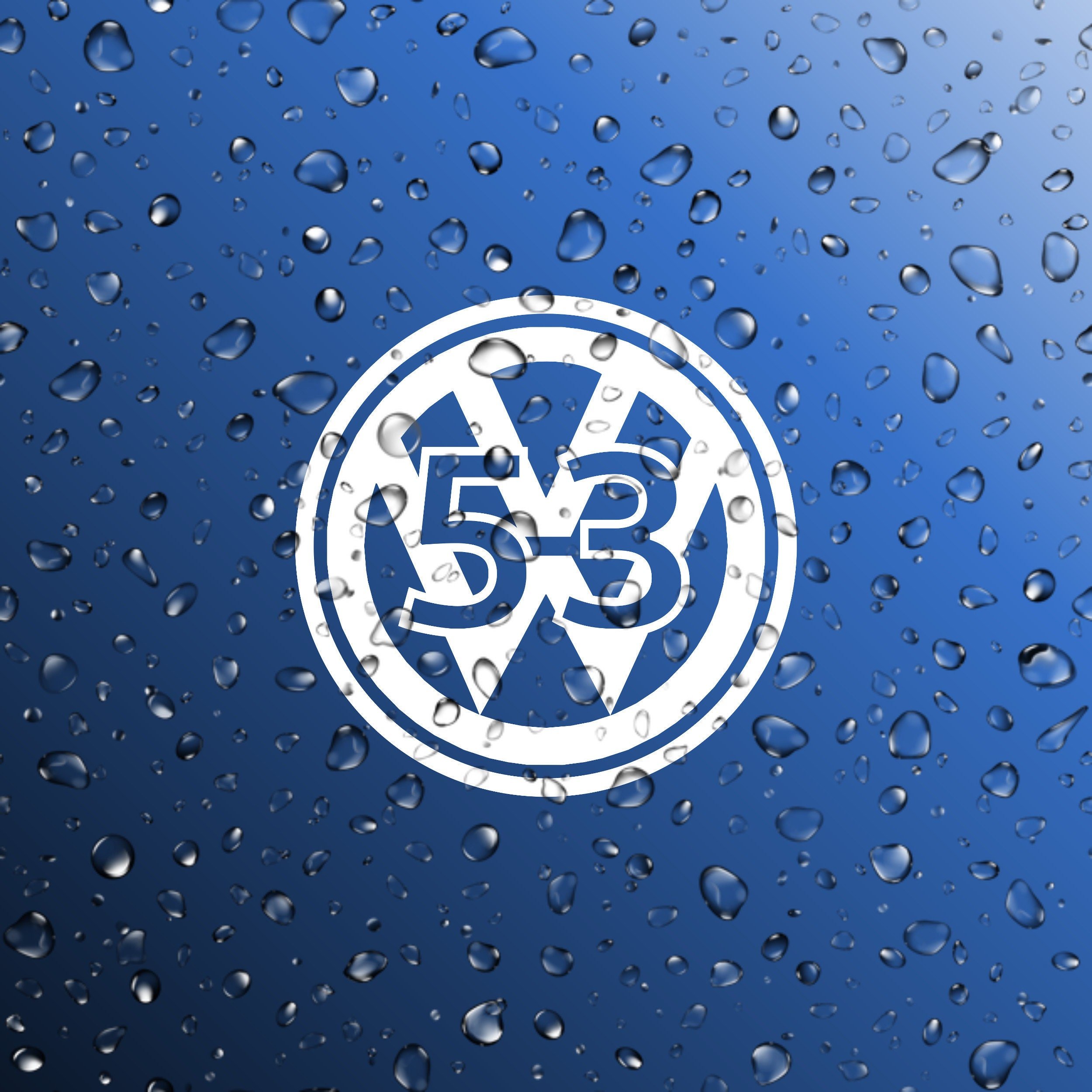 VW Volkswagen Herbie 53 Roundel Logo Decal