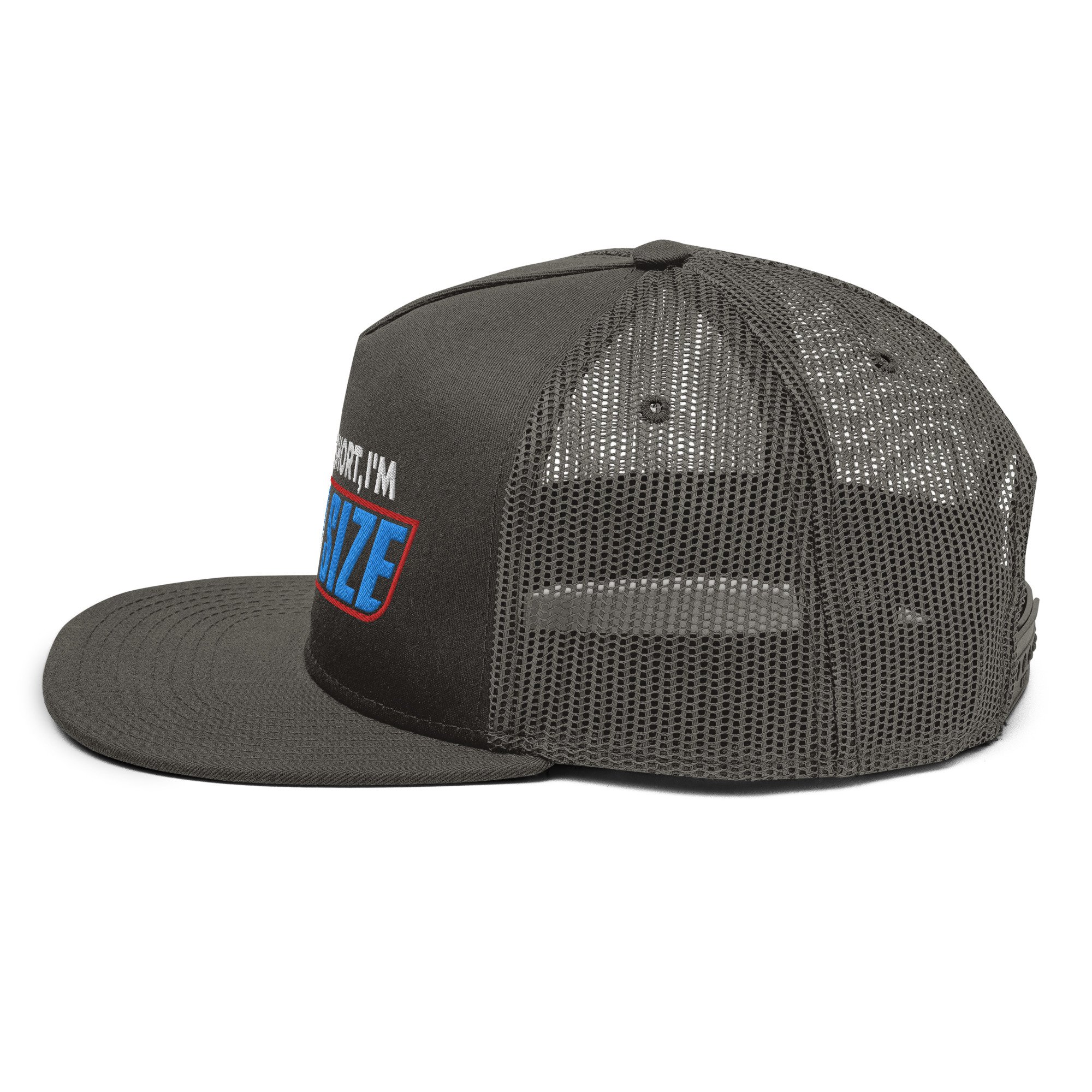 mesh-back-snapback-charcoal-gray-left-62f38535c11a1.jpg