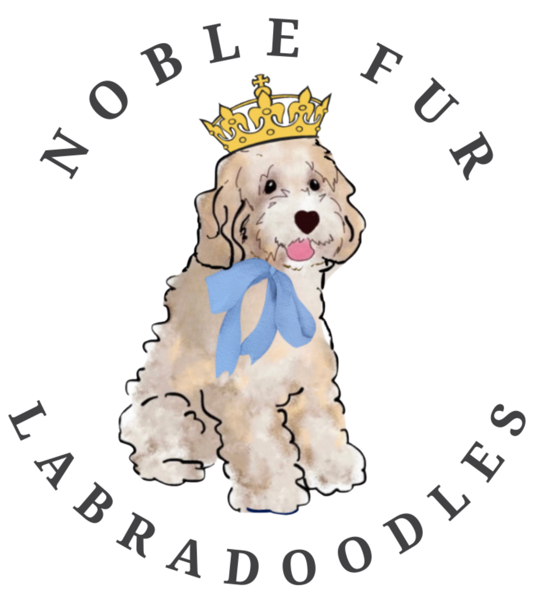 Noble Fur Labradoodles