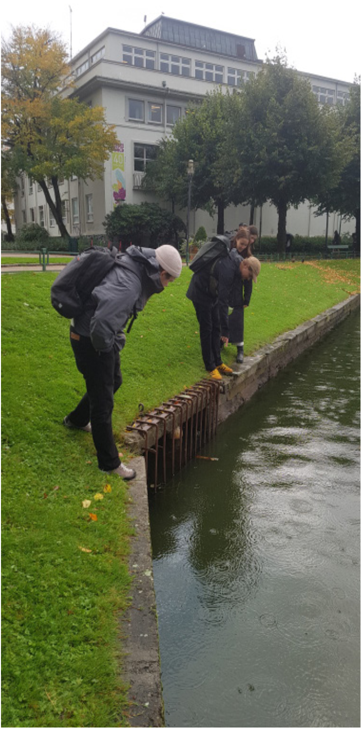 Urban ecology research