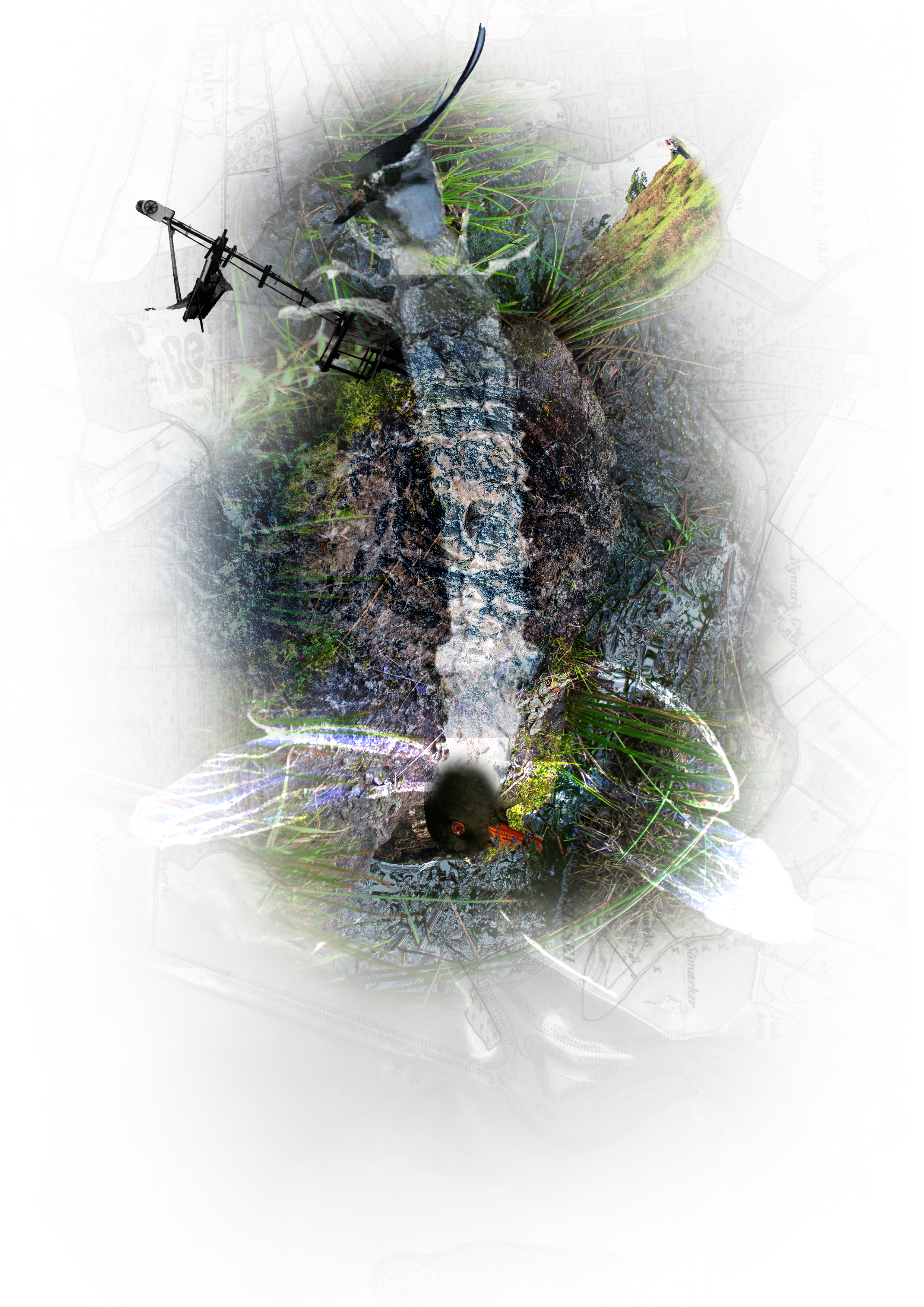 Playing stringfigures in Lumby Strand