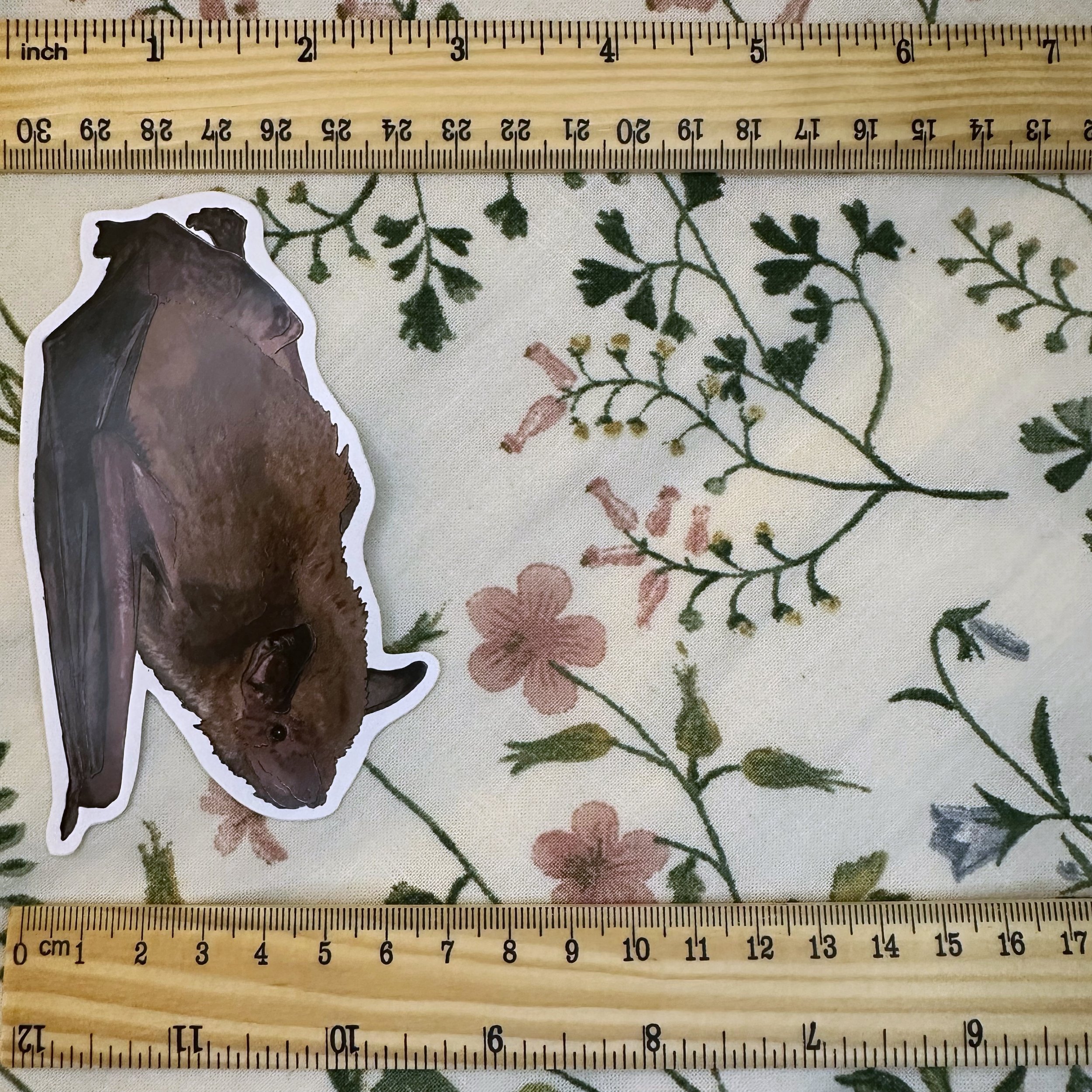 little brown bat sticker measuring about 2 1/2 inches wide