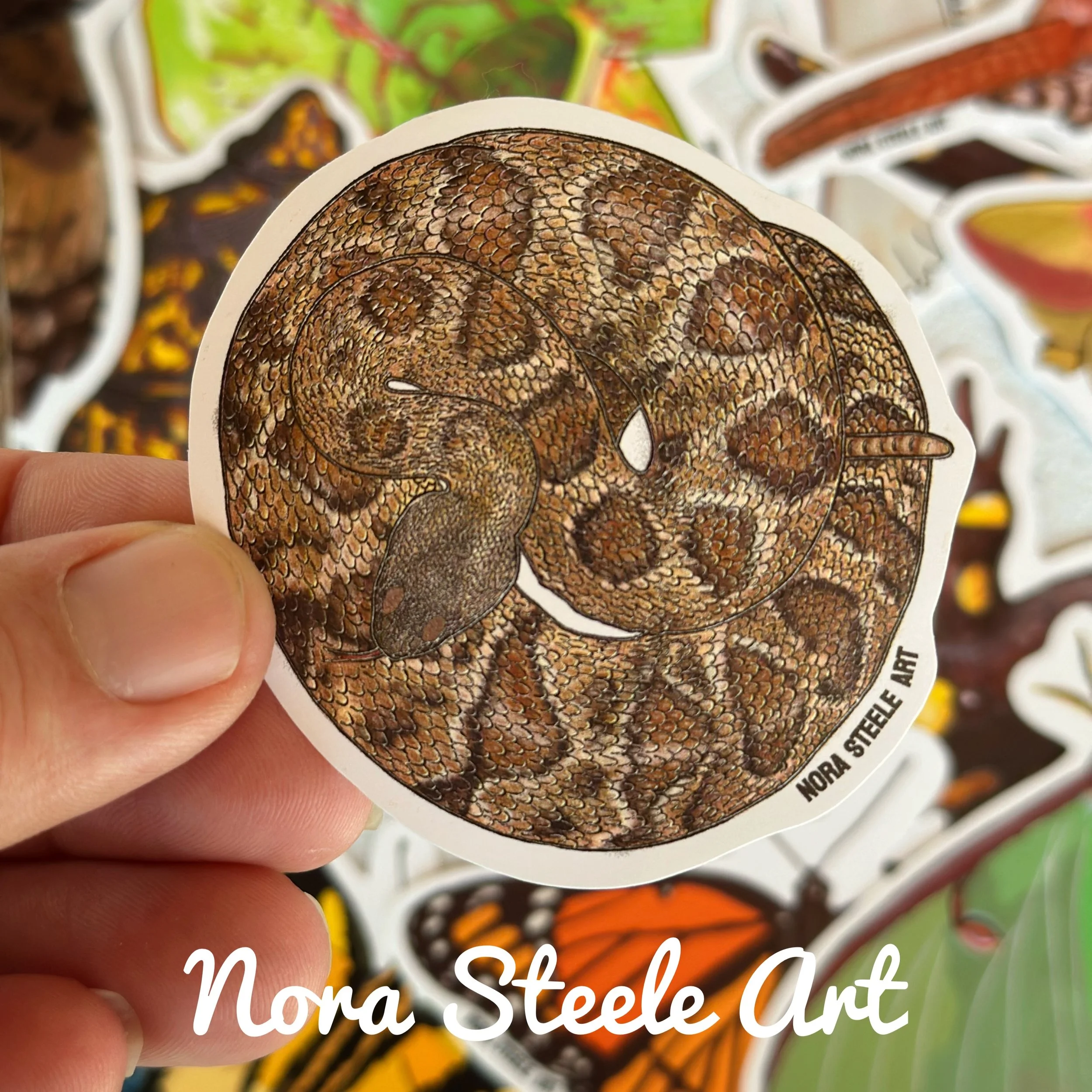 Timber rattlesnake sticker held above a pile of other stickers