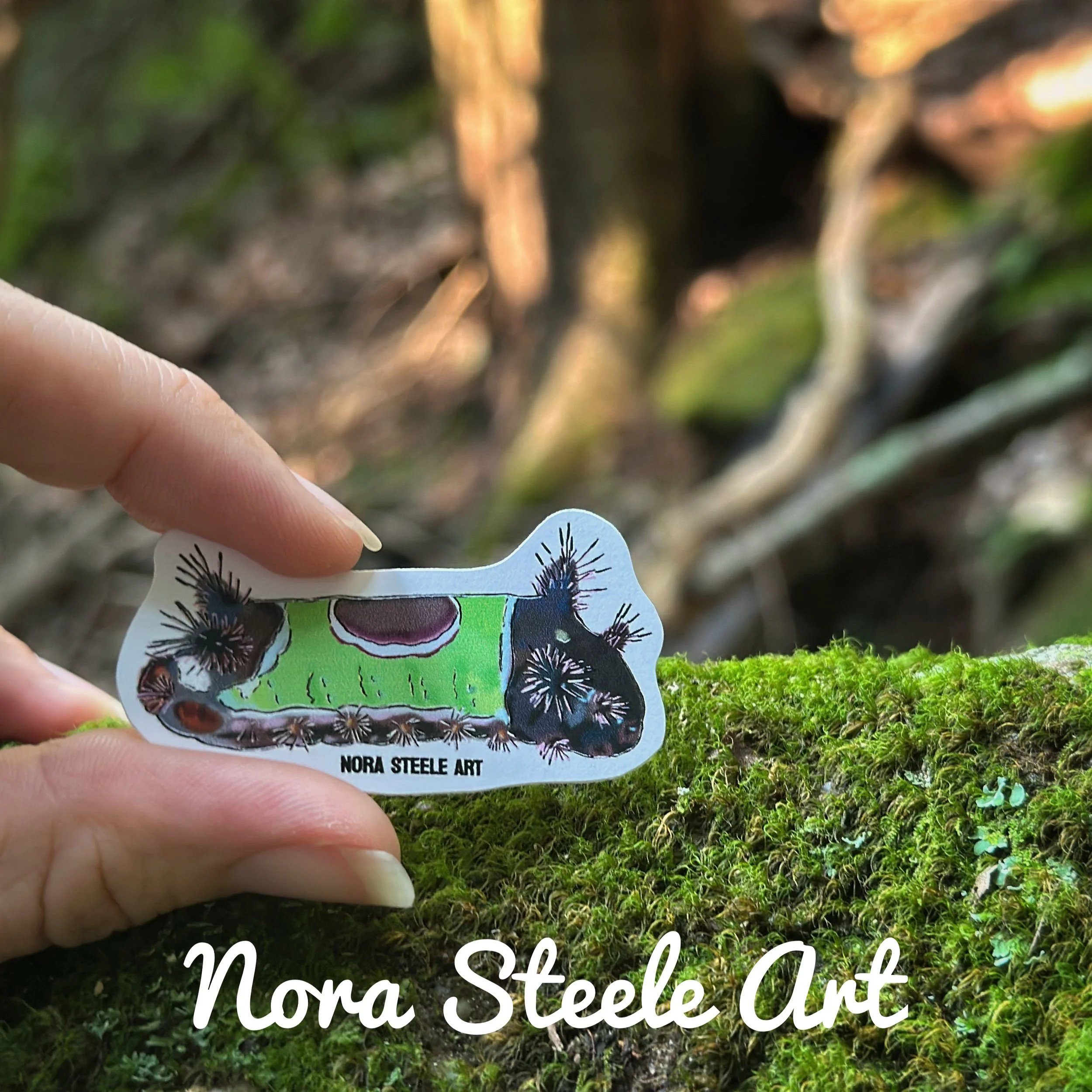 Saddleback caterpillar sticker on a mossy log