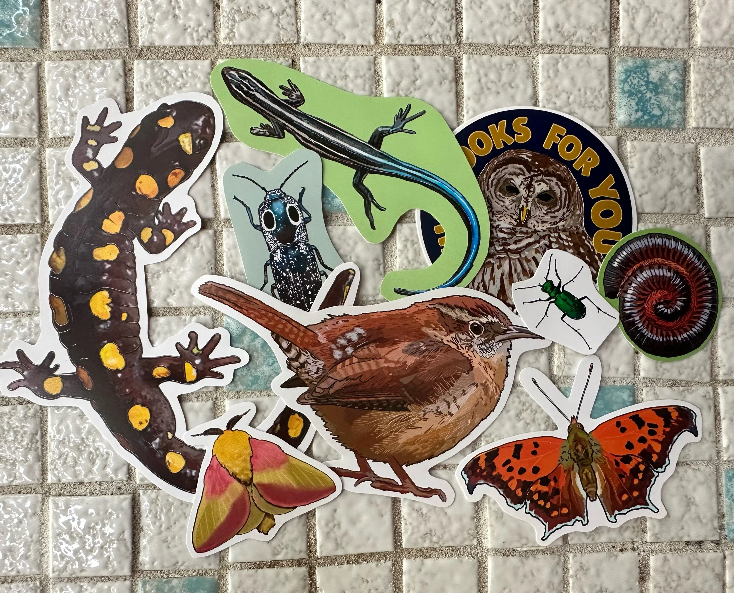 On the forest floor sticker pack stickers all spread out