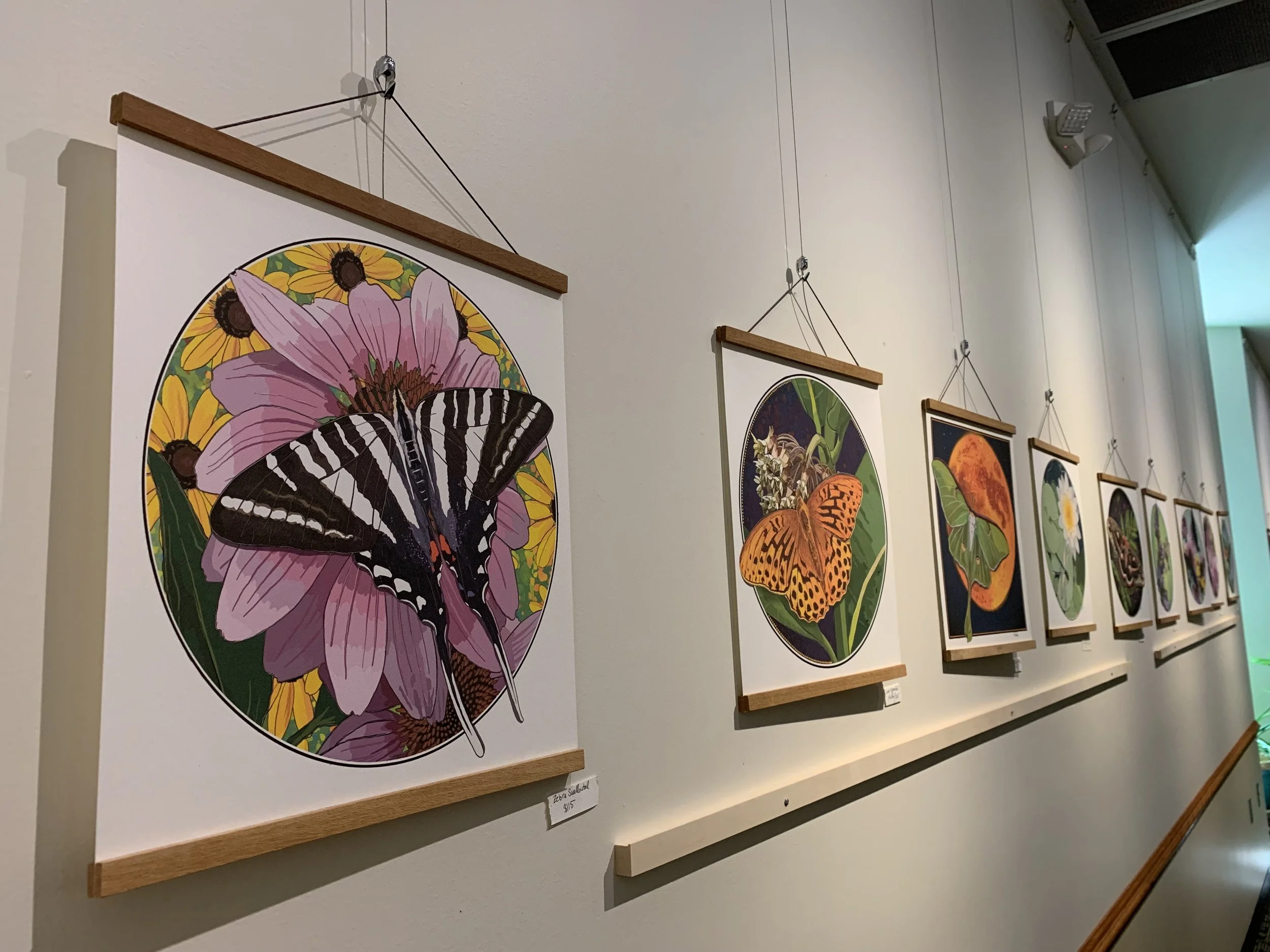Gallery wall display of colorful butterfly illustrations with floral backgrounds, arranged in wooden frames.