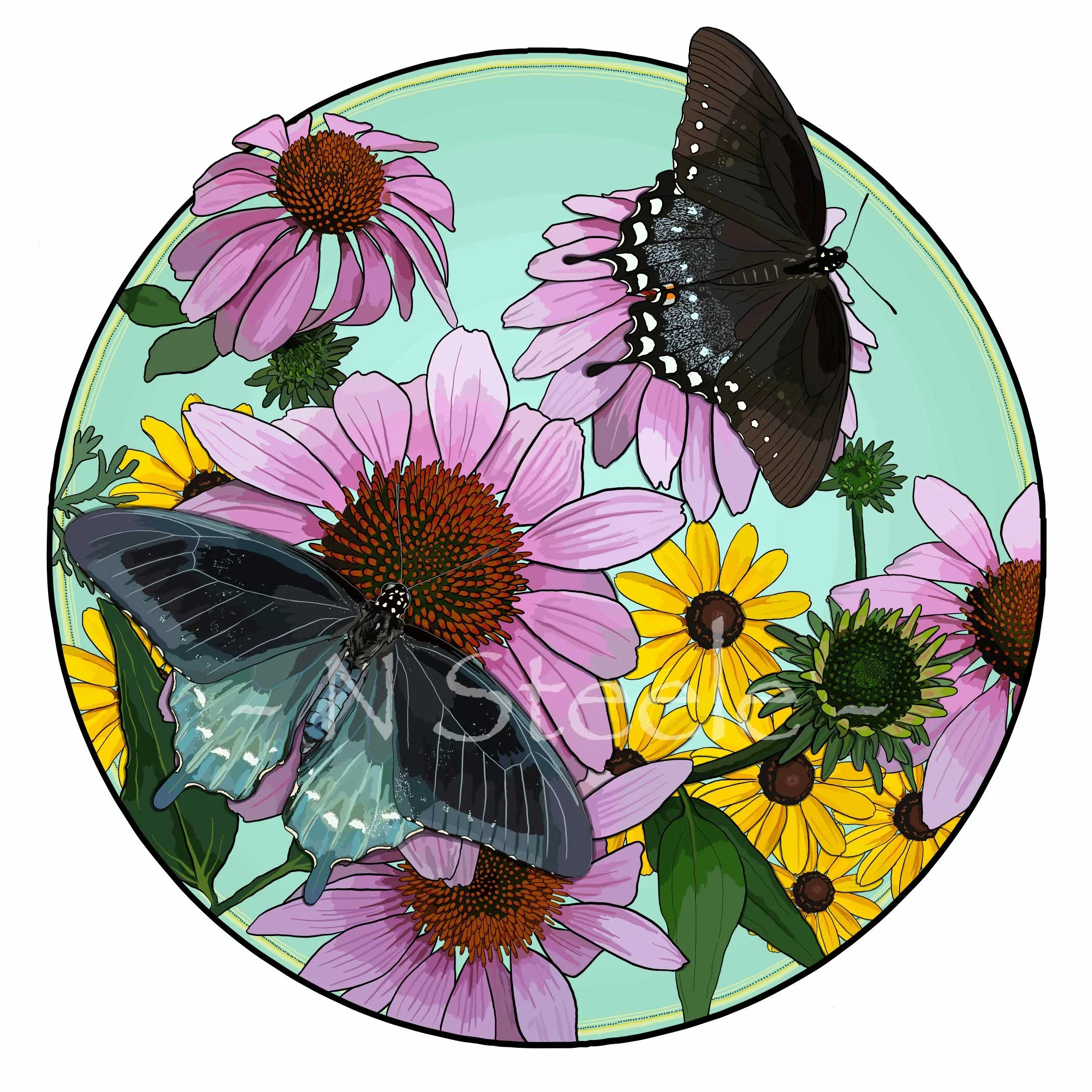 Swallowtails and Coneflower