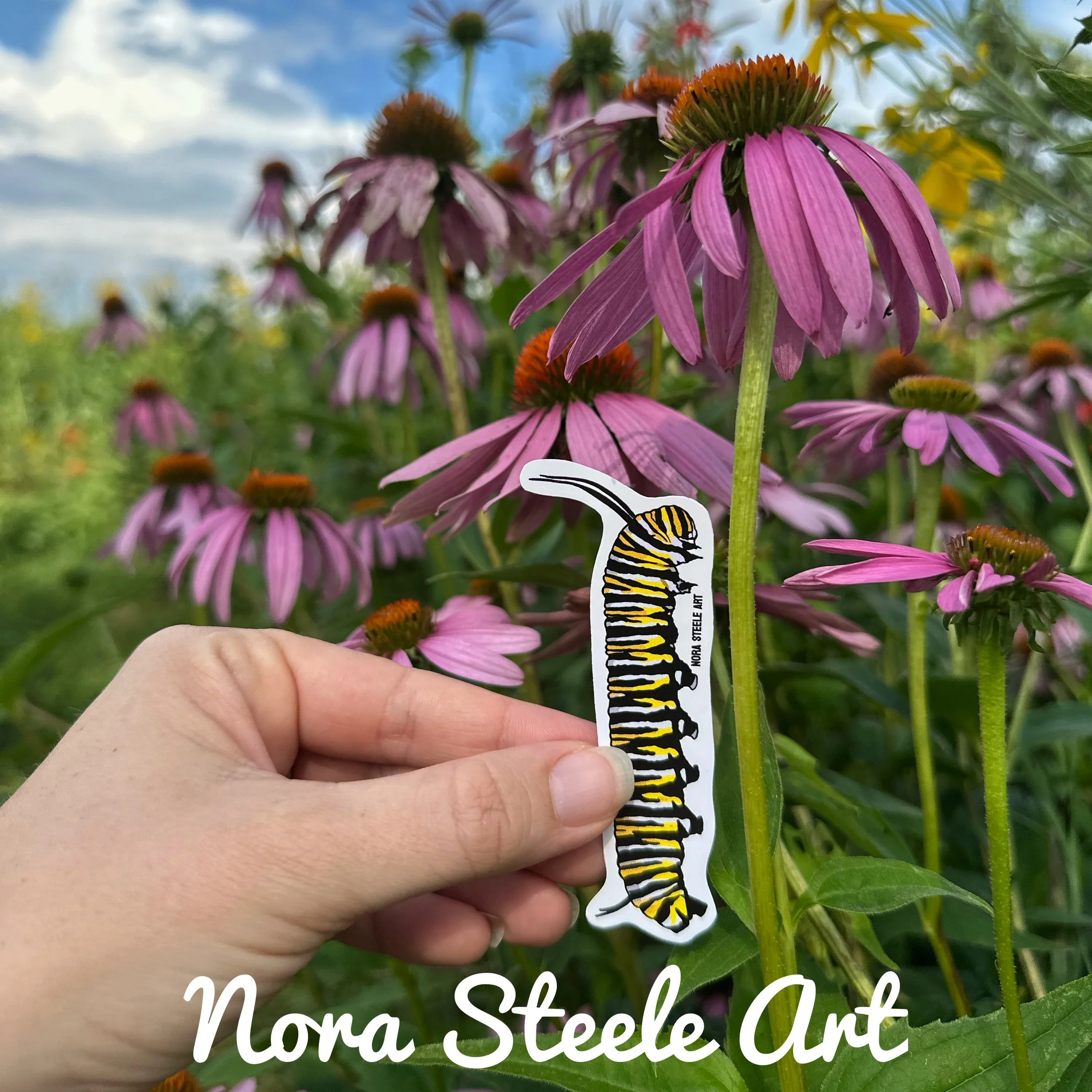 Monarch butterfly caterpillar sticker on purple coneflower