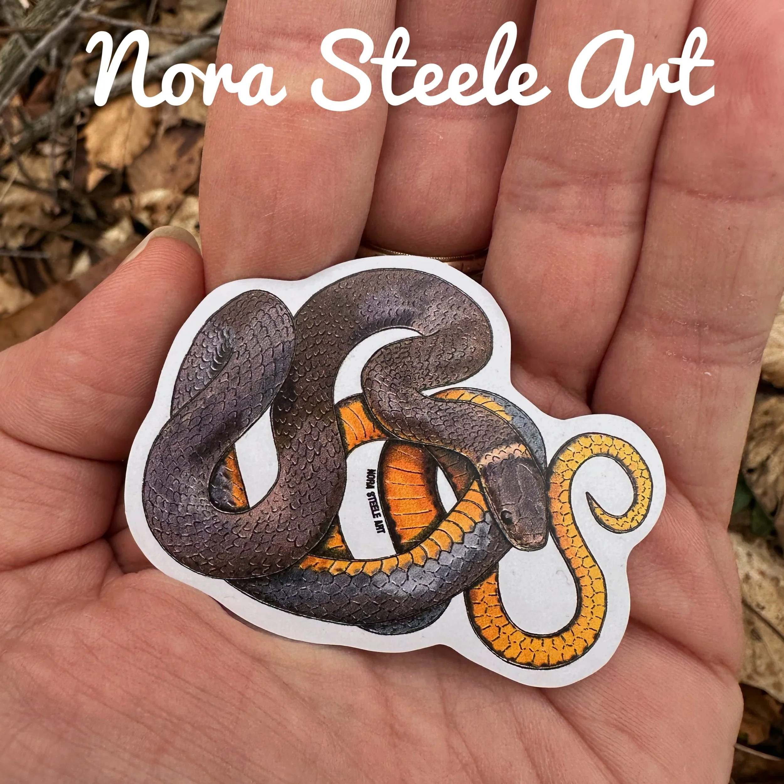 Ring-necked snake sticker in hand
