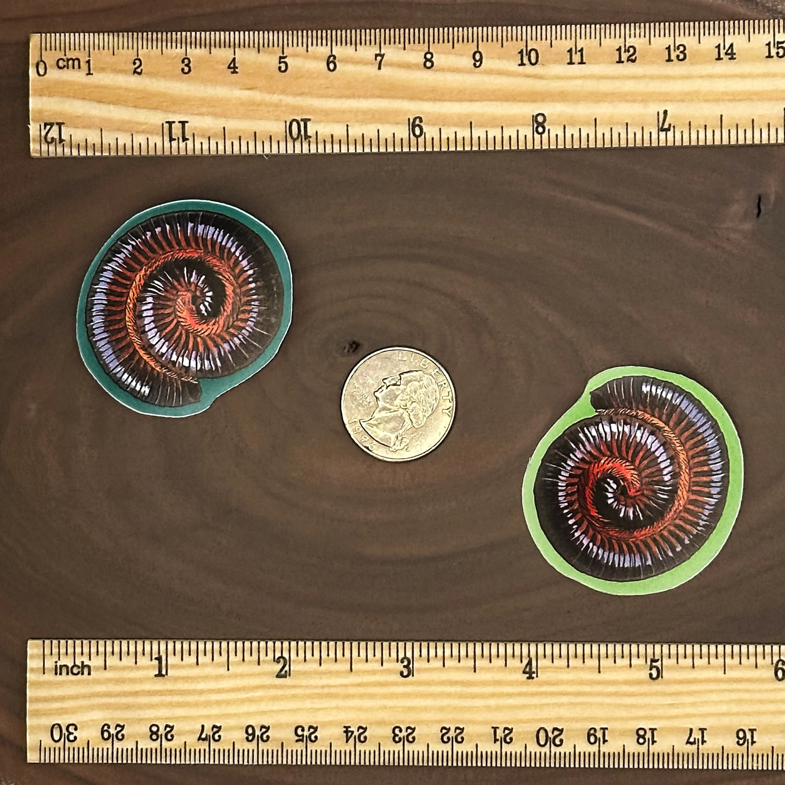 American giant millipede stickers measuring about 2 inches long