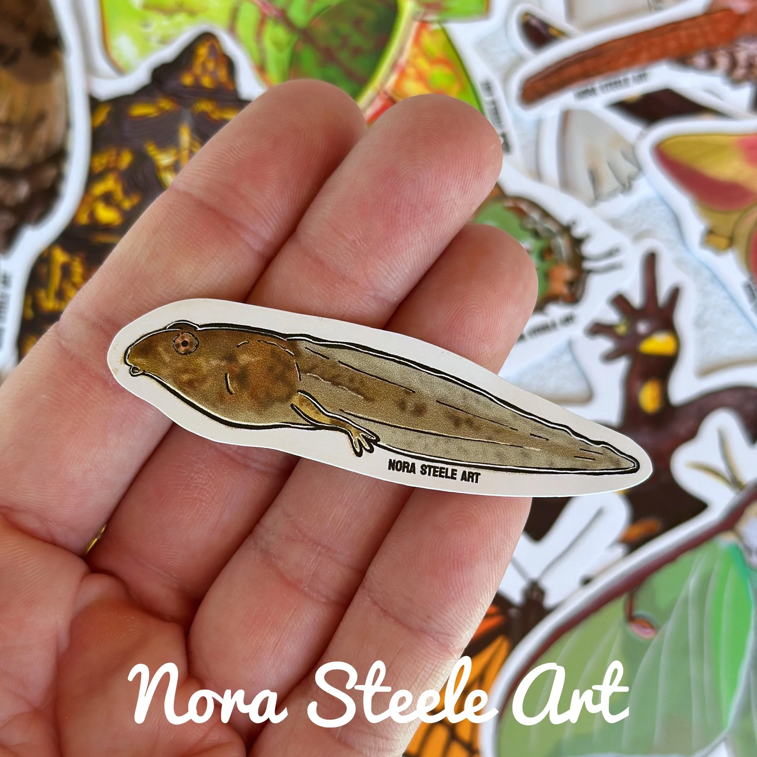 Waterproof Sticker - Tadpole