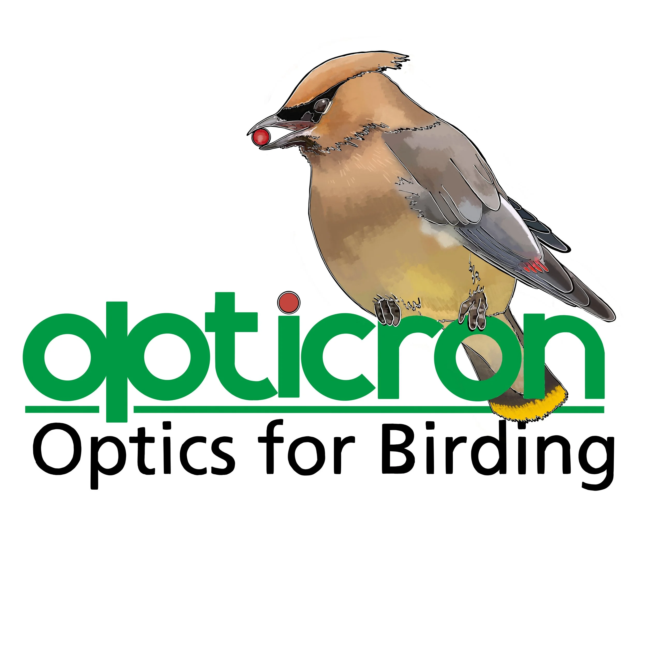 Untitled - March 17, 2026 12.19.13 copy (1).jpeg