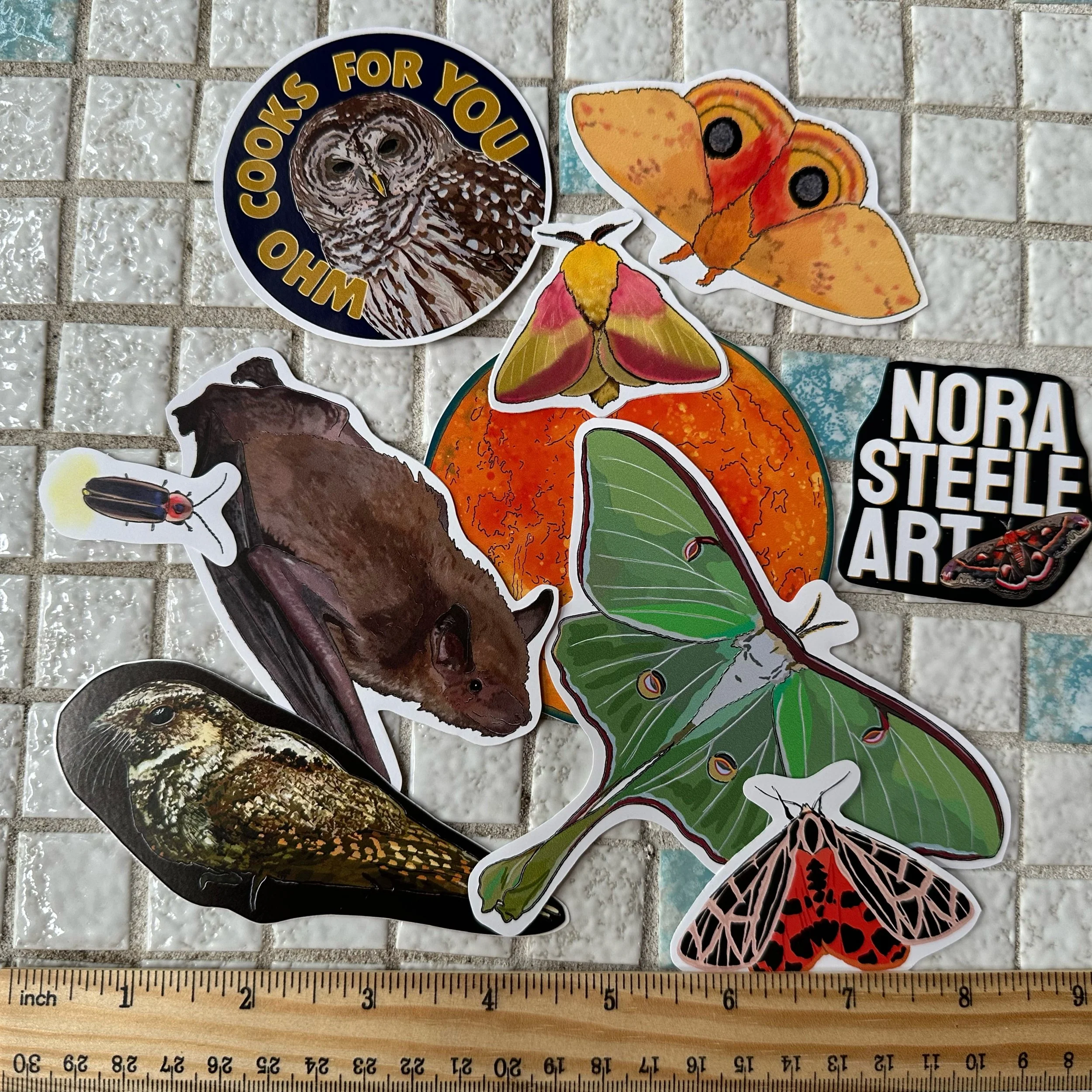 Nocturnal sticker pack stickers with ruler for scale