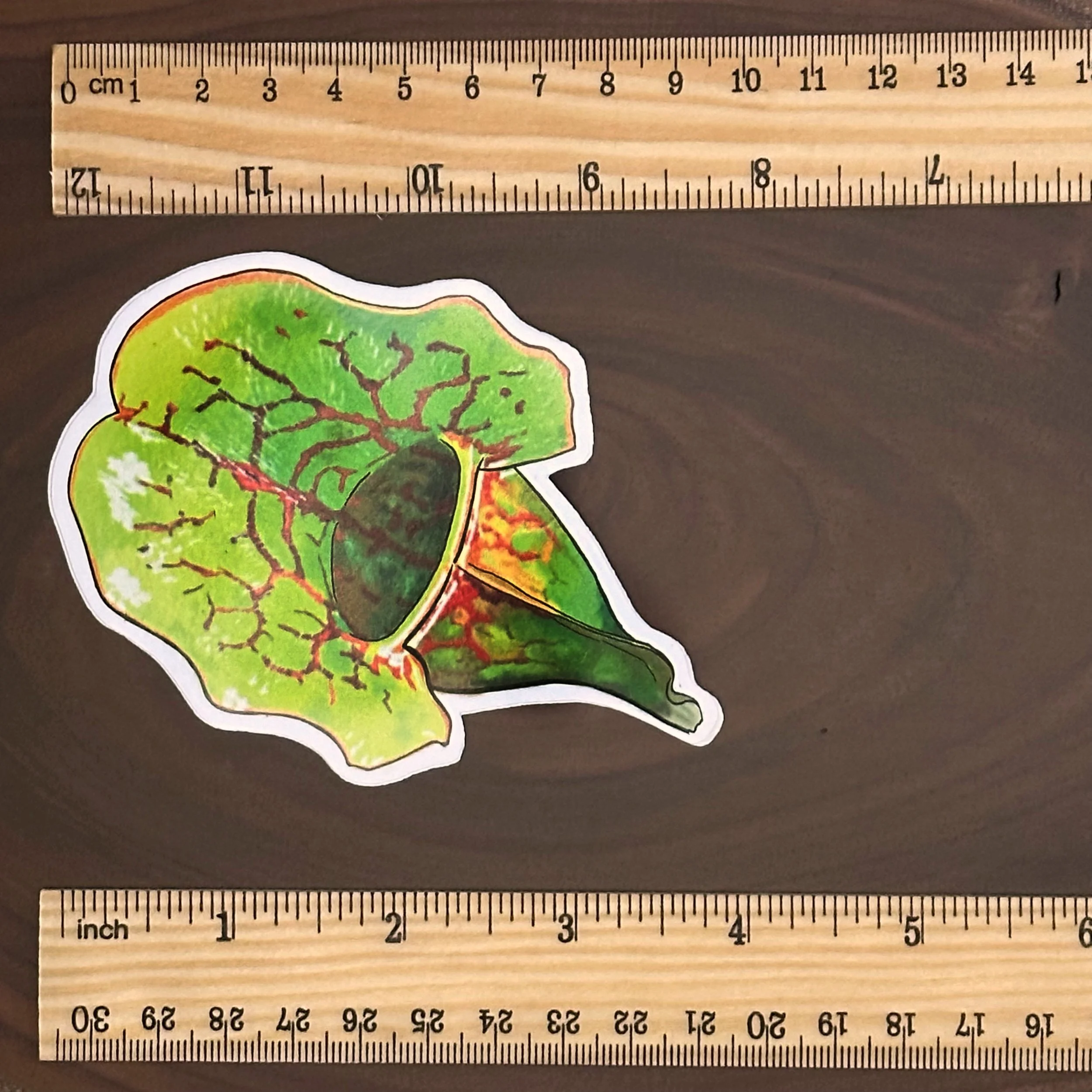 Purple pitcher plant sticker measuring about 4 inches long