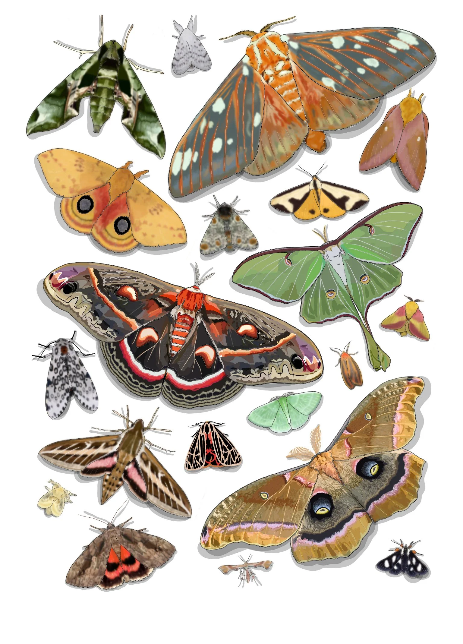 Arc of Appalachia: Mothapolooza 