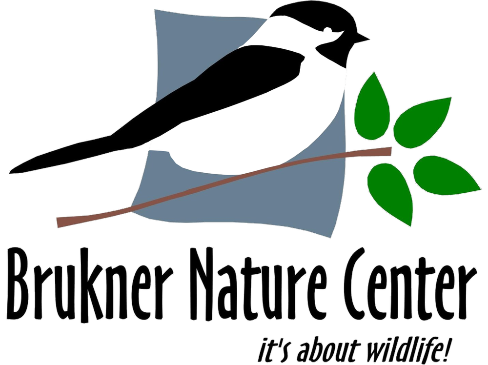 Art Exhibit @ Brukner Nature Center 