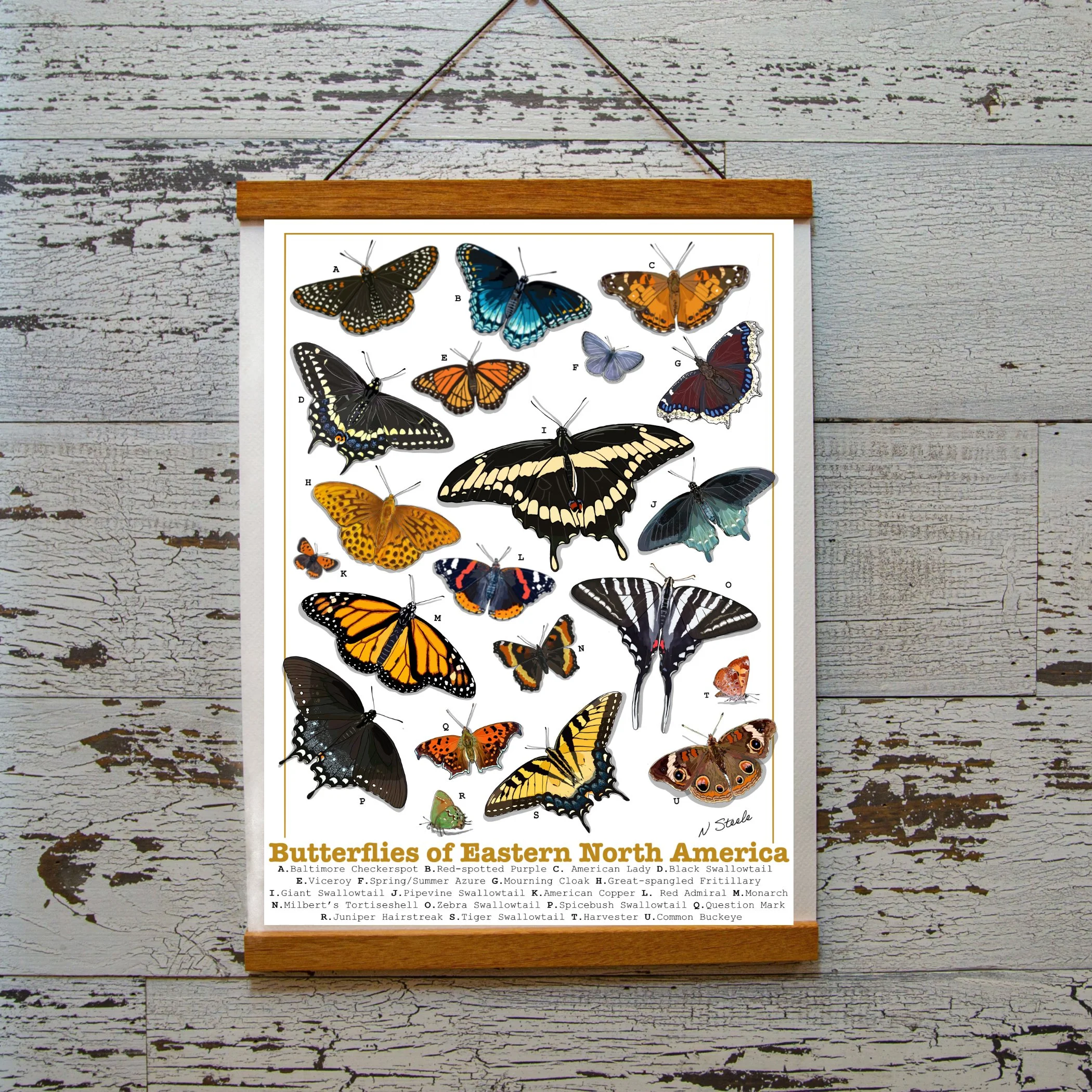 Butterfly Weekend