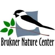 Brukner Holiday Arts and Crafts Show