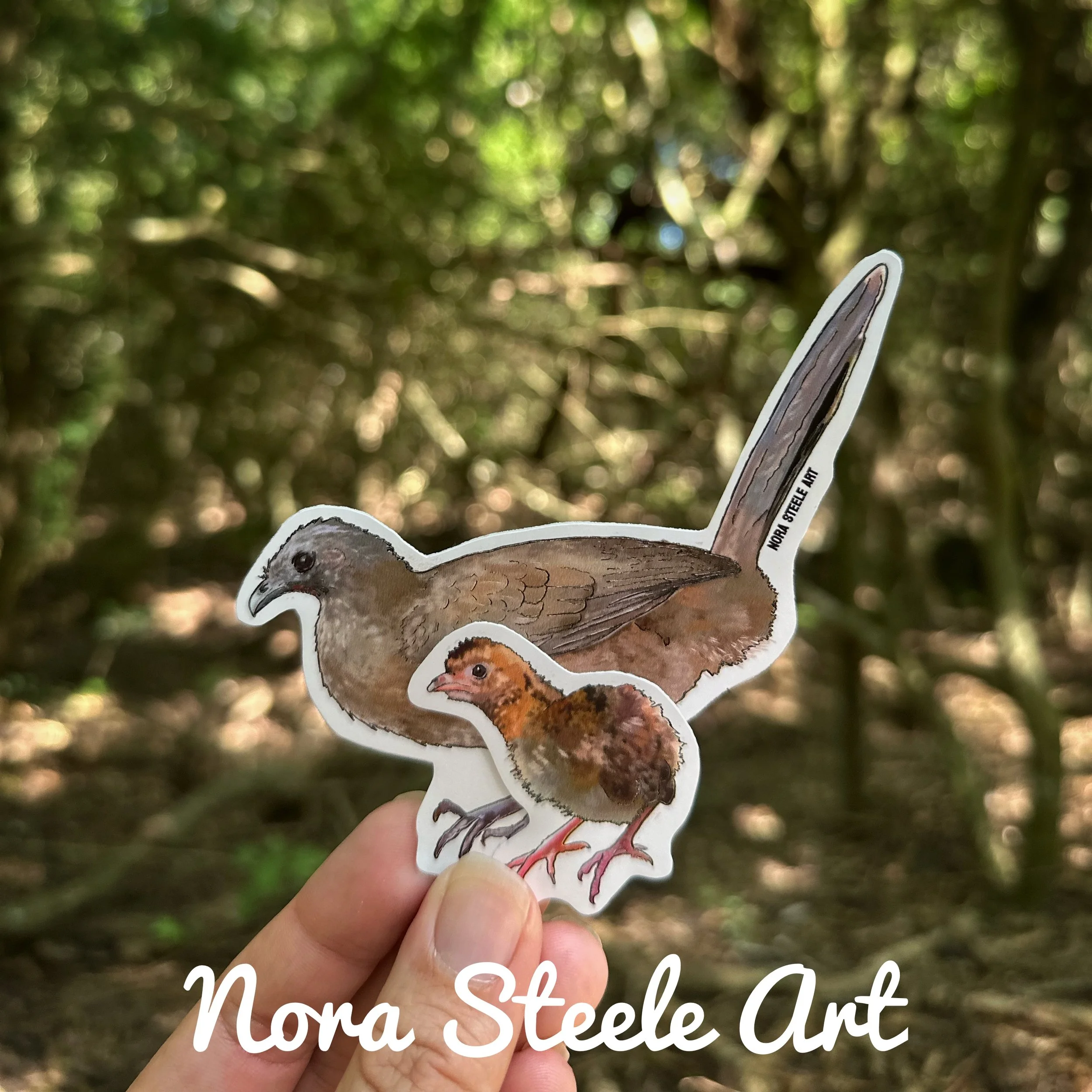 Waterproof Sticker - Plain Chachalaca and Chick
