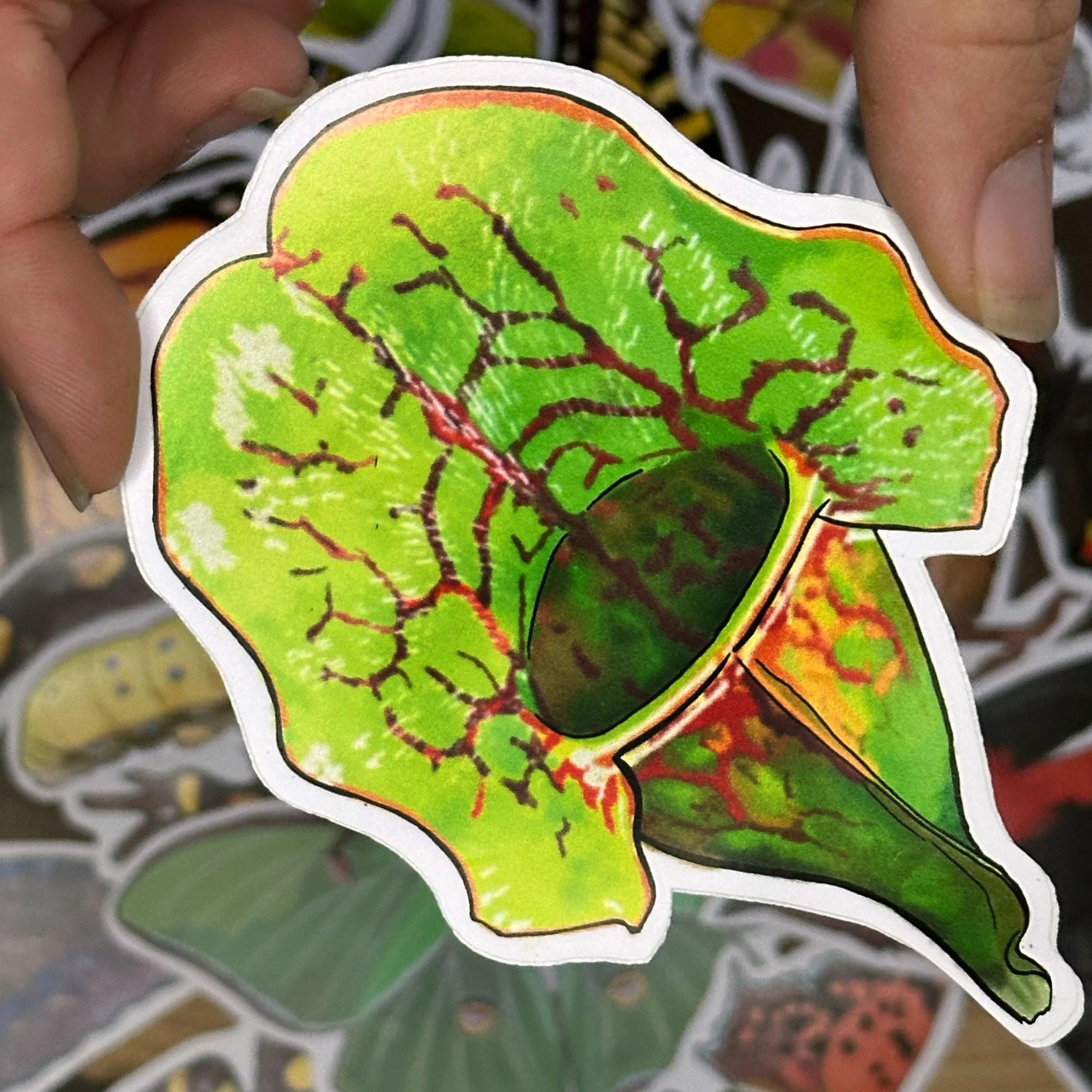 Purple pitcher plant sticker held above a pile of other stickers