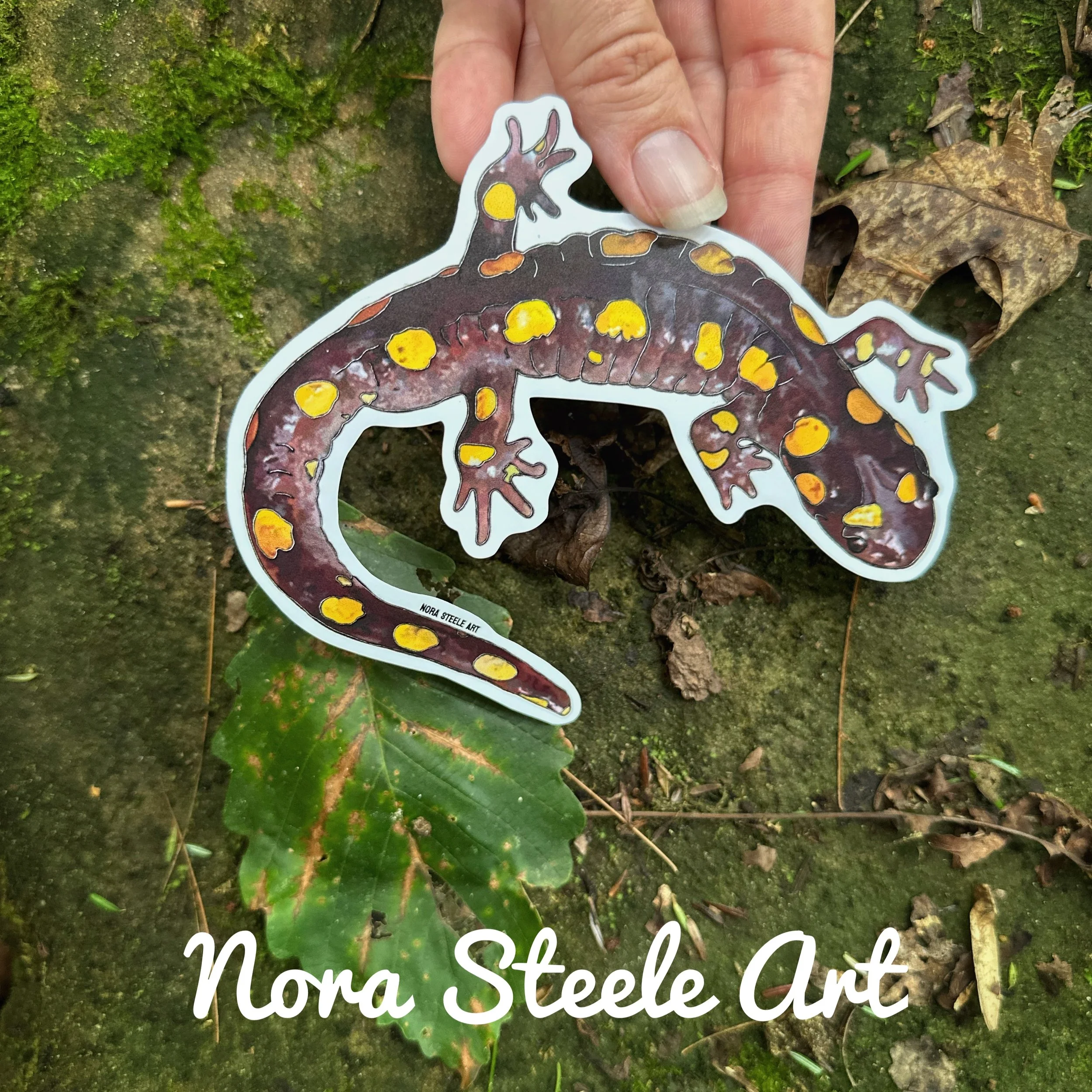Spotted salamander sticker on background of moss and leaves