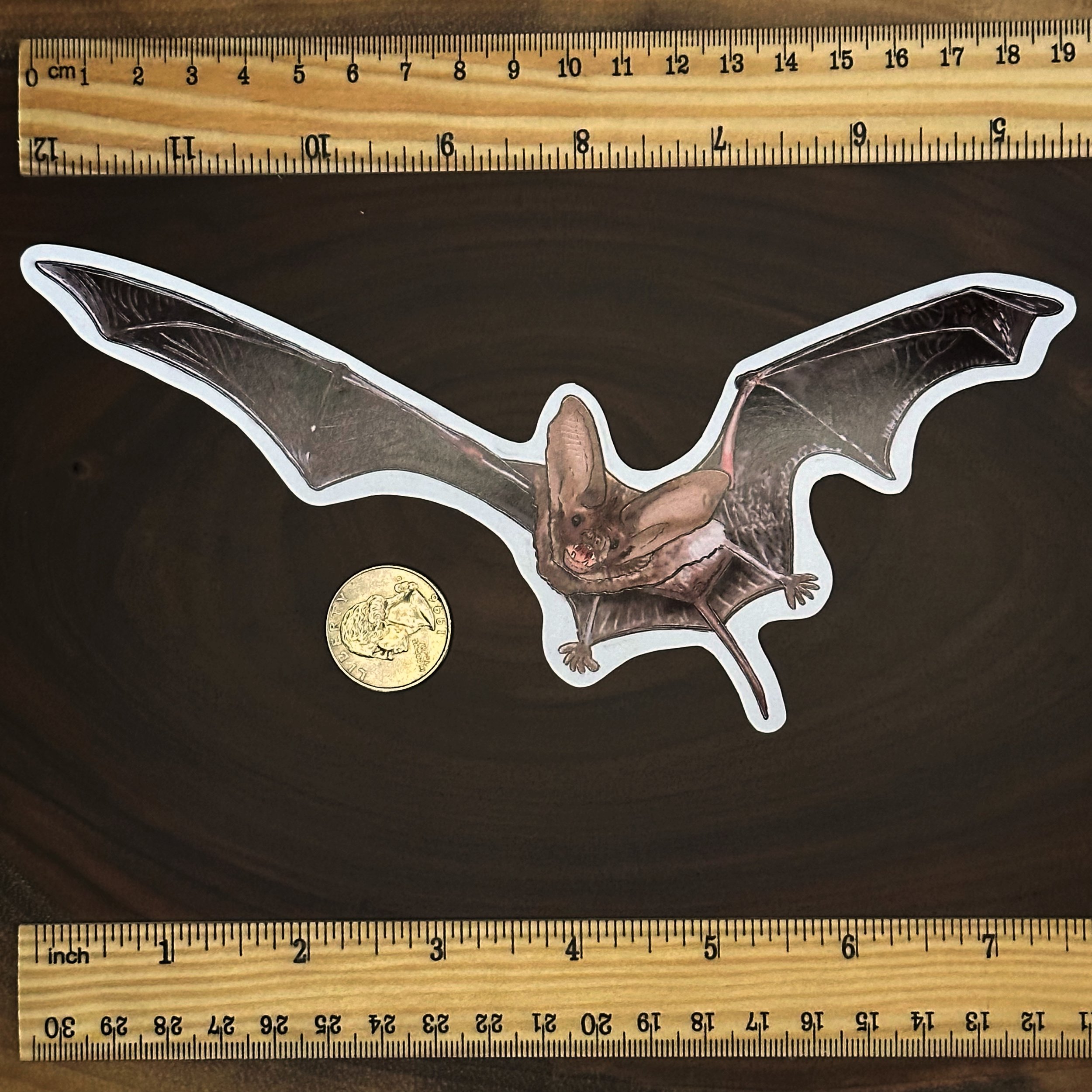 Mexican free tailed bat sticker measuring about 7 1/2 inches wide