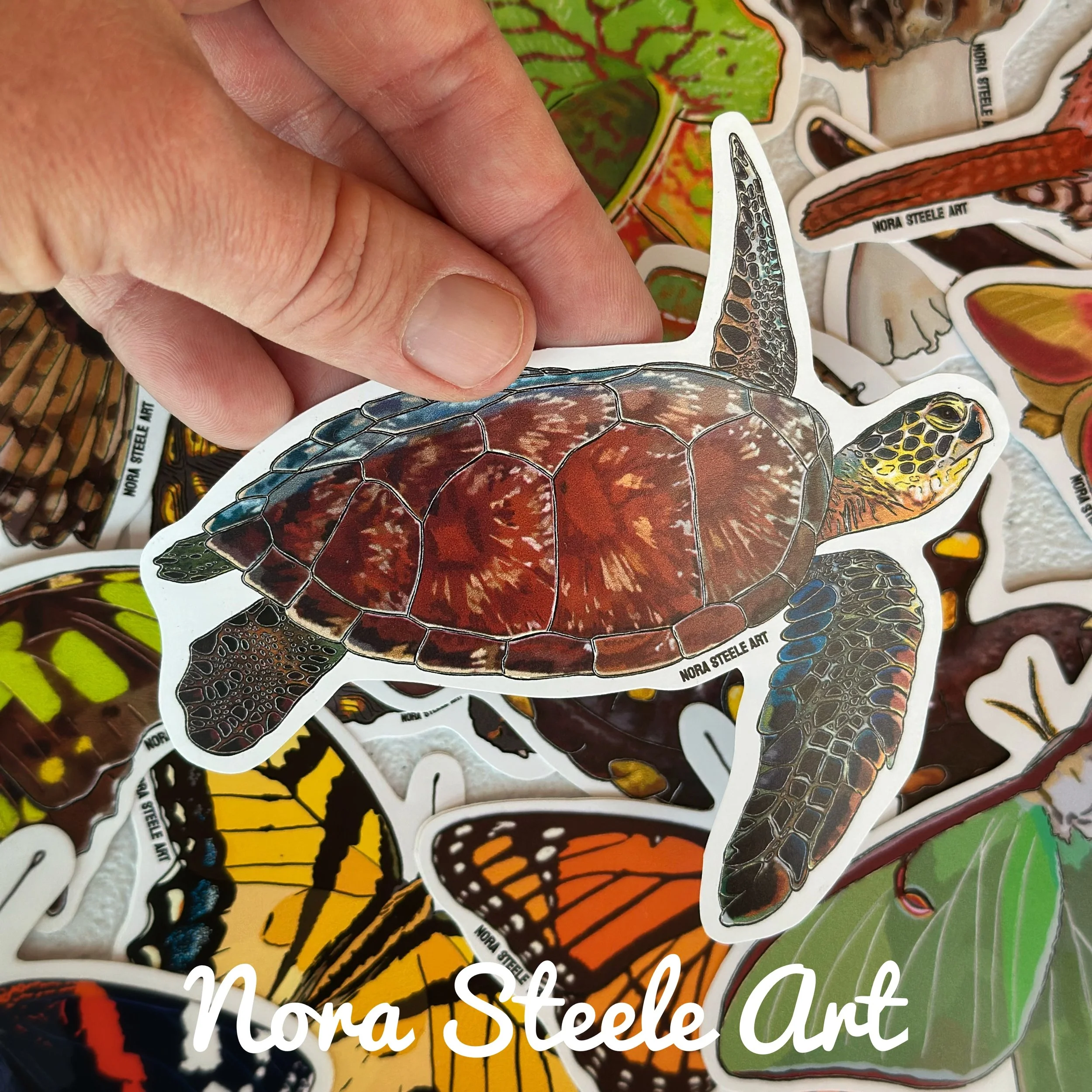 Green sea turtle sticker held above a pile of other stickers