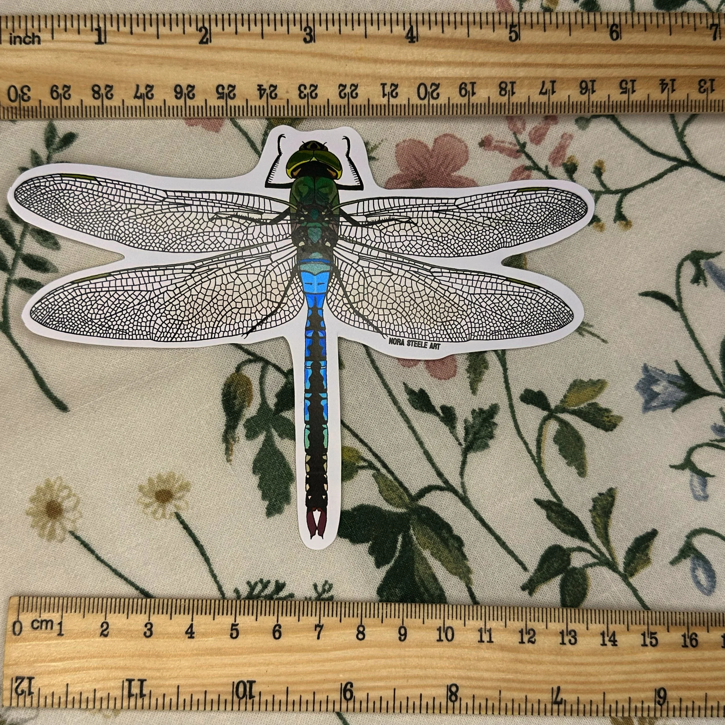 Green darner dragonfly sticker measuring about 5 1/2 inches wide