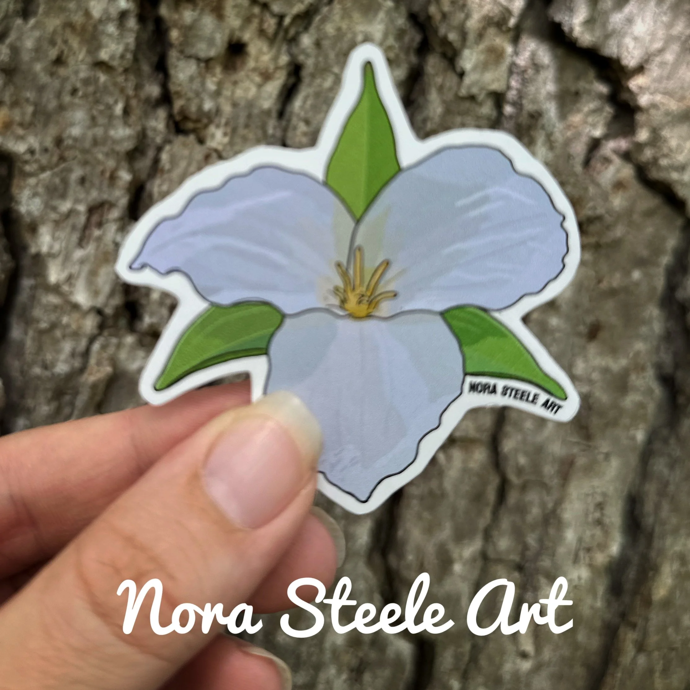 Large flowered trillium sticker in front of a tree
