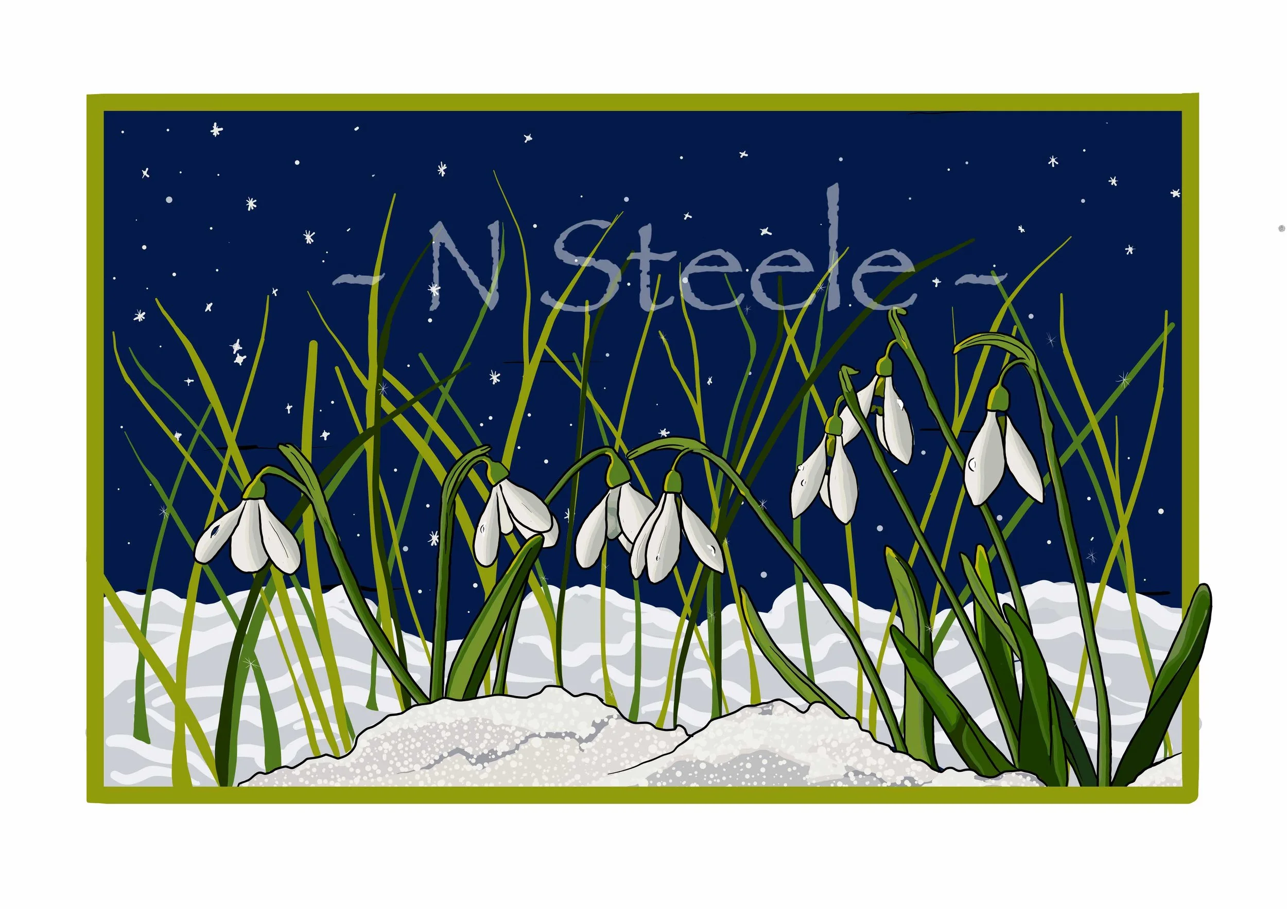 Snowdrops