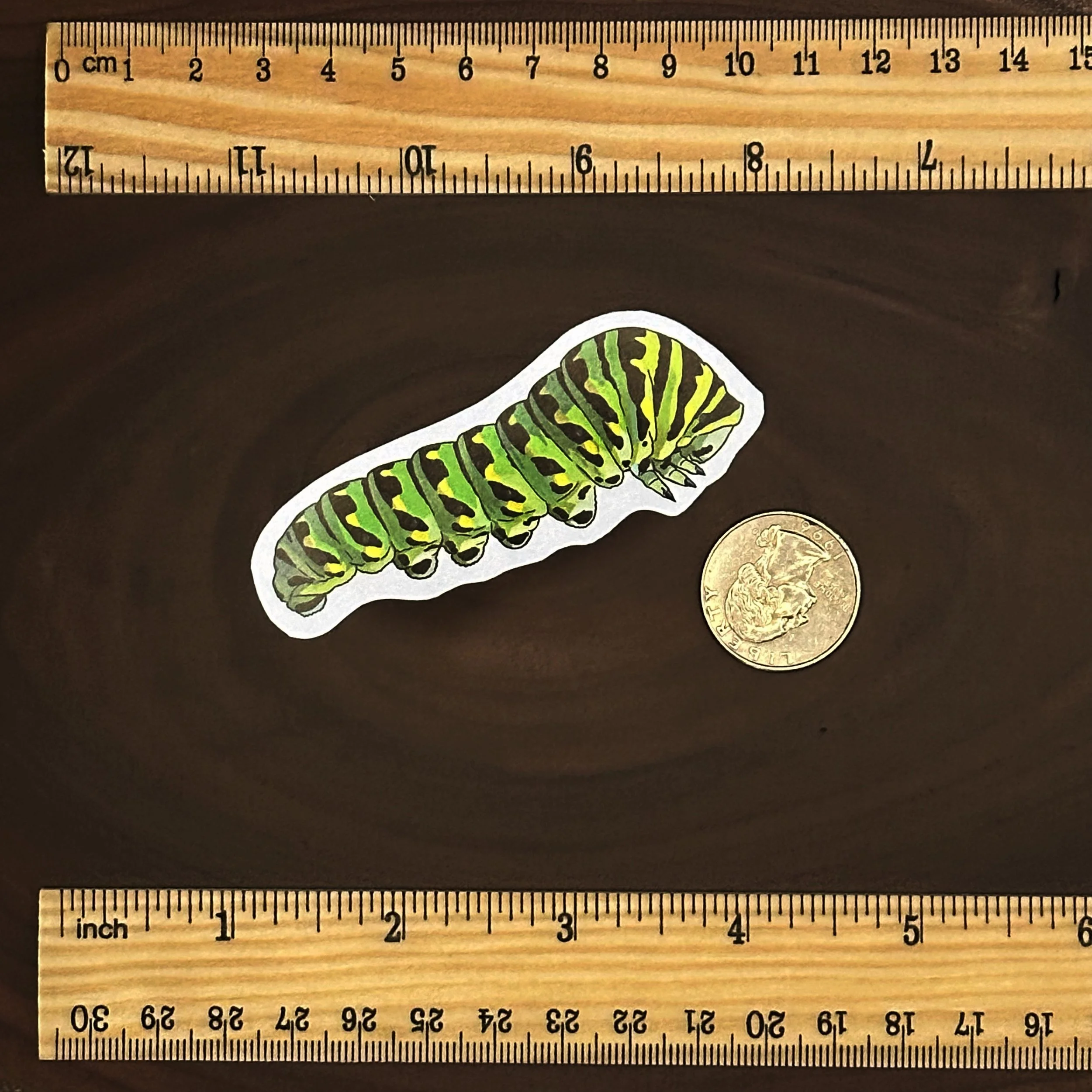 Black swallowtail caterpillar sticker measuring about 3 inches long