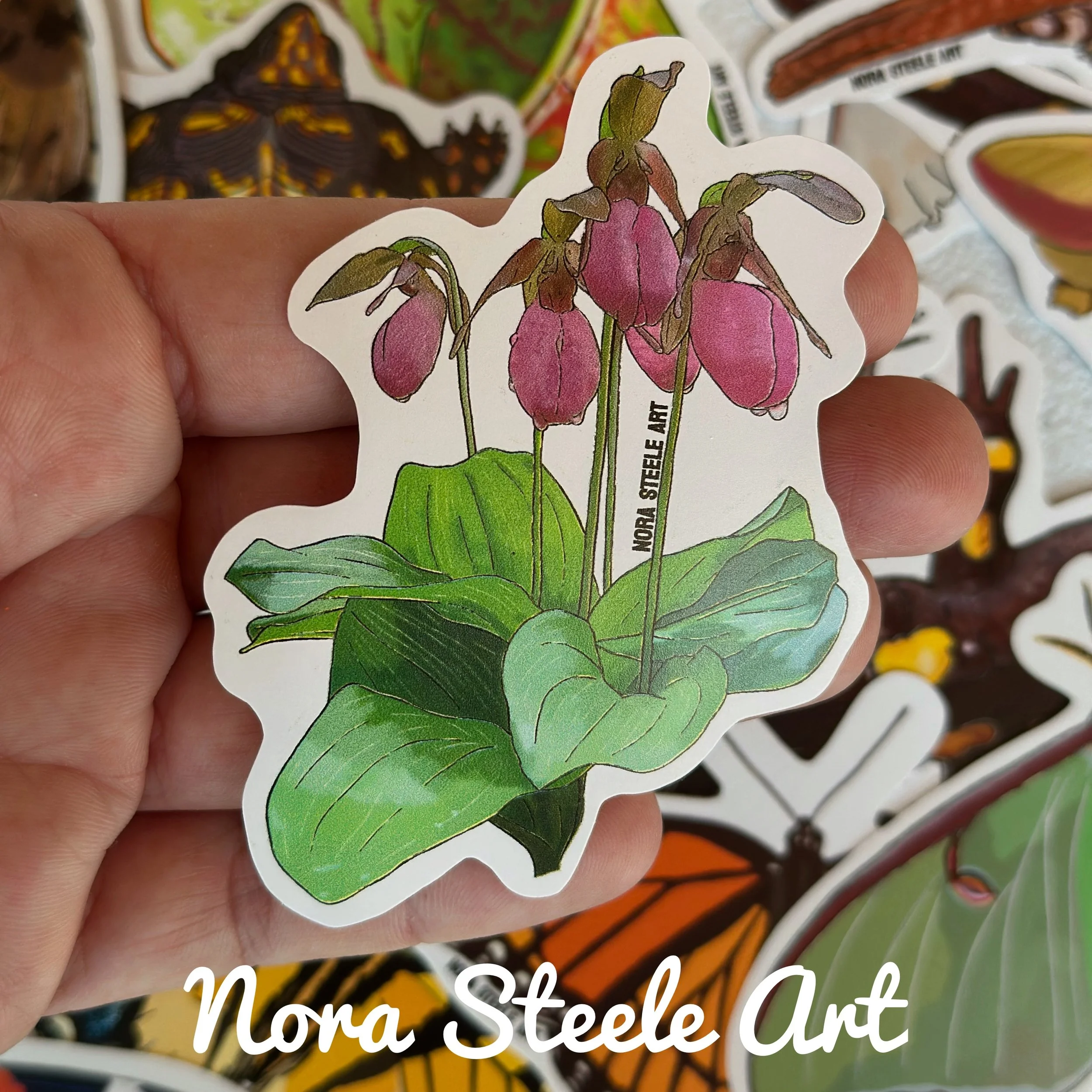 Waterproof Sticker - Pink Lady’s Slipper Bouquet