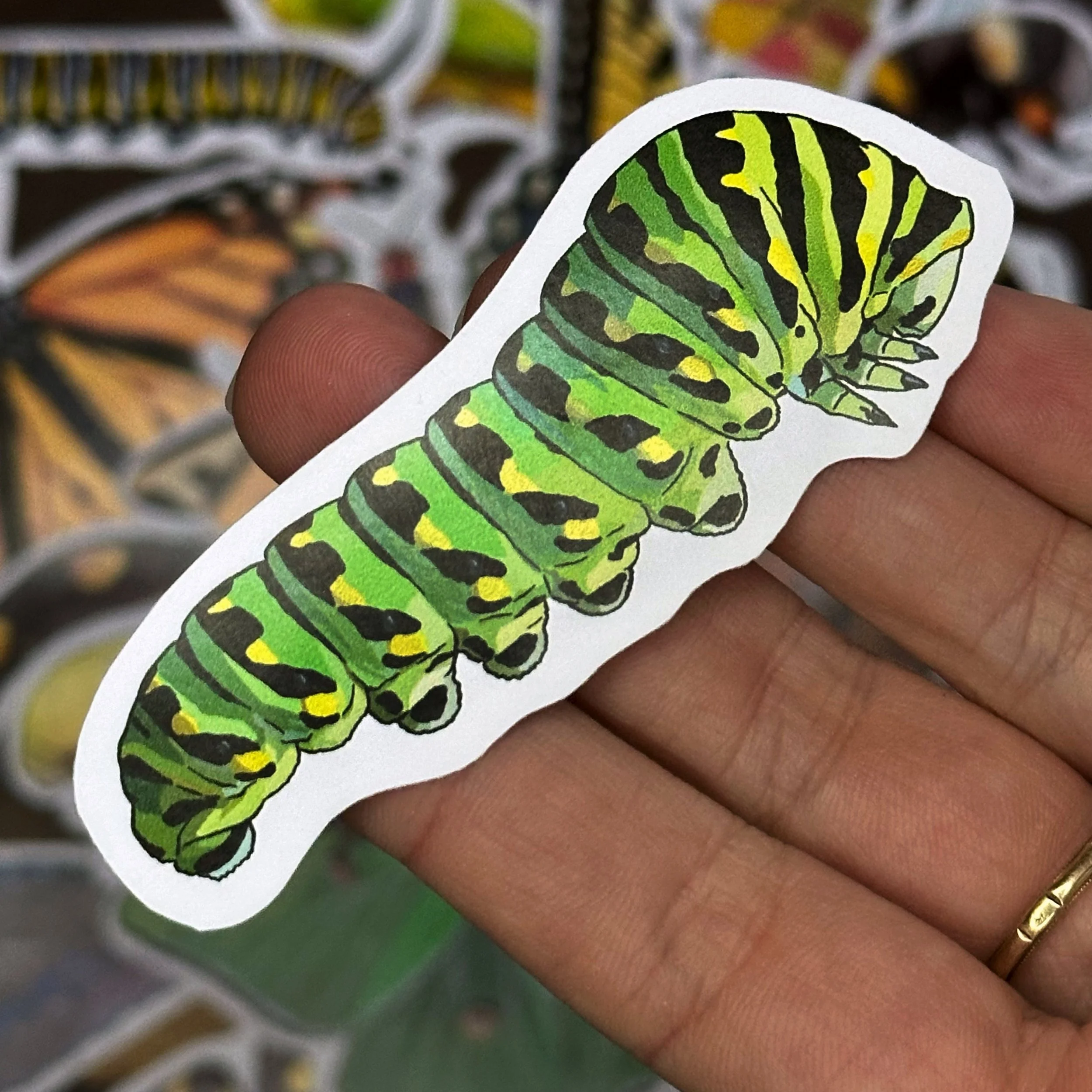 Black swallowtail caterpillar sticker held above a pile of other stickers