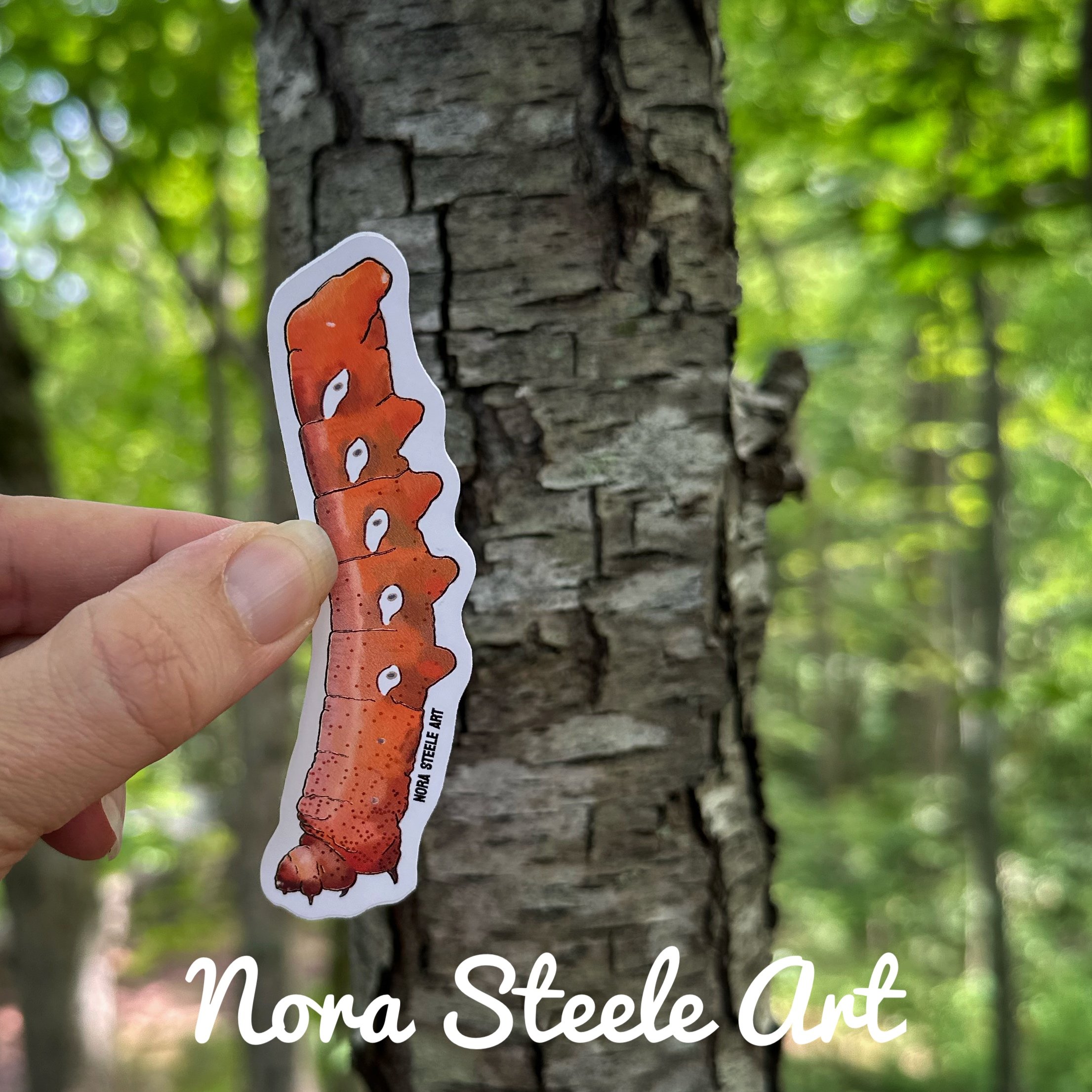 Pandorus sphinx caterpillar sticker crawling up a tree