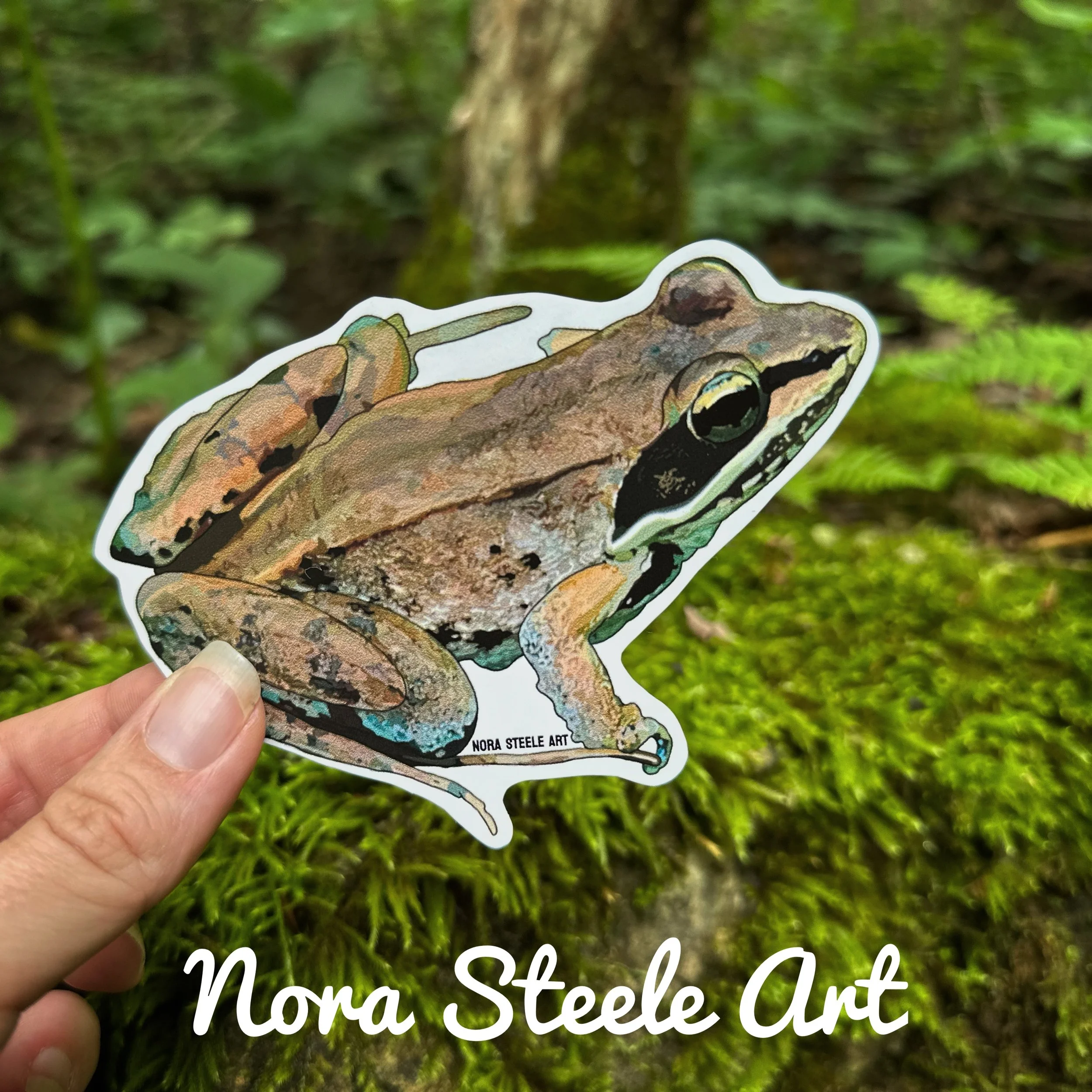 Wood frog male sticker on background of mossy woods