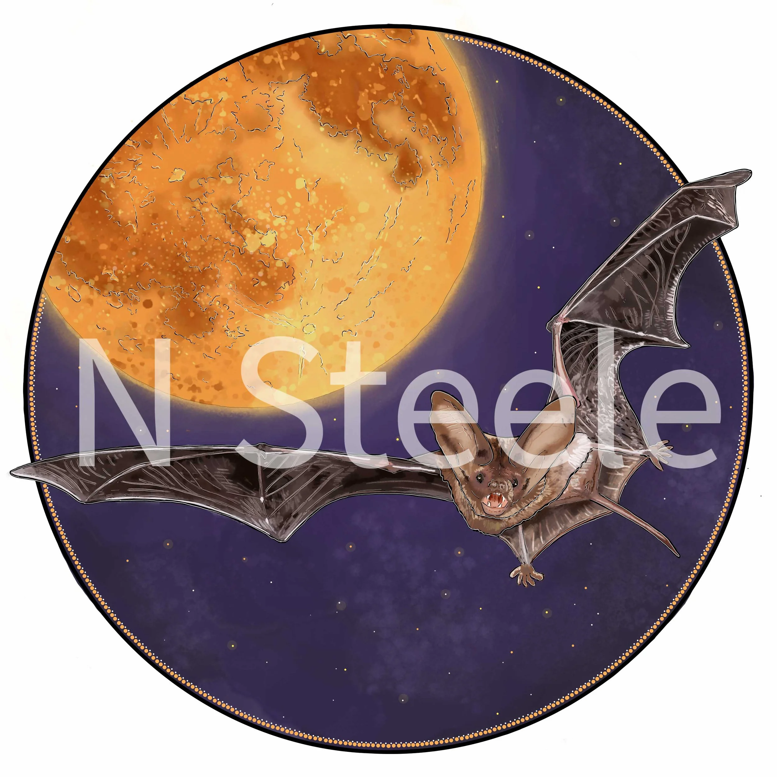 Mexican Free-tailed Bat