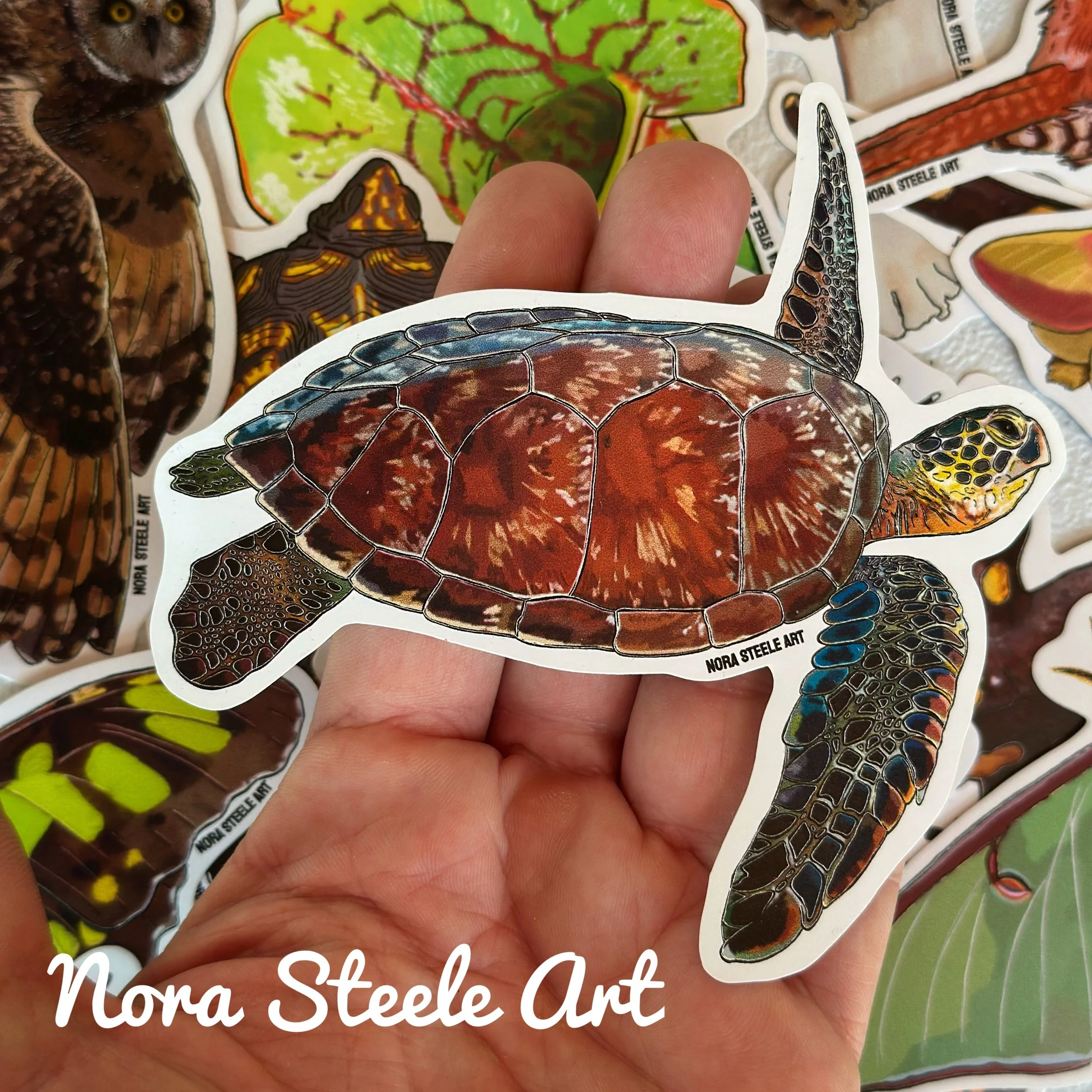 Green sea turtle sticker in hand