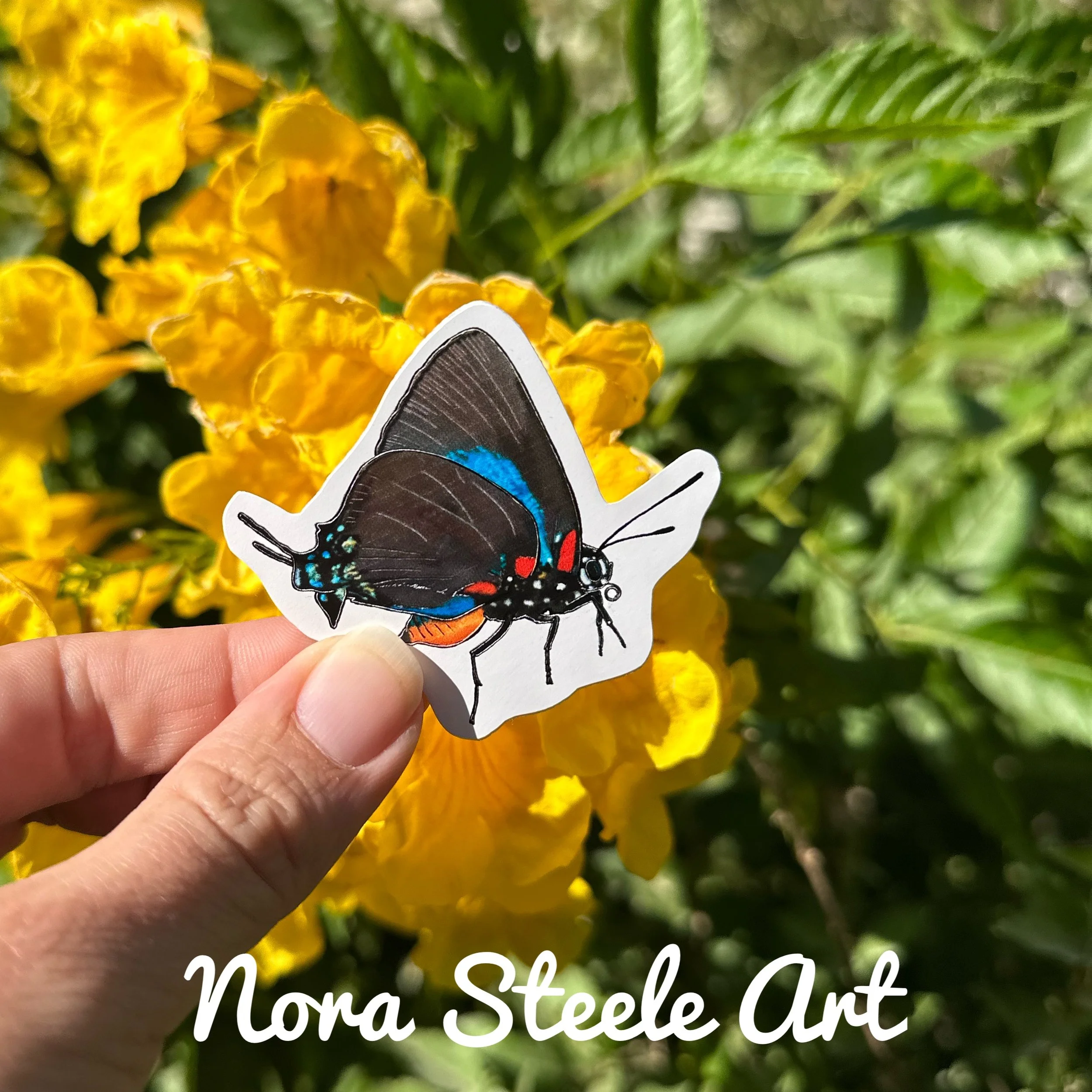 Waterproof Sticker - Great Purple Hairstreak Butterfly