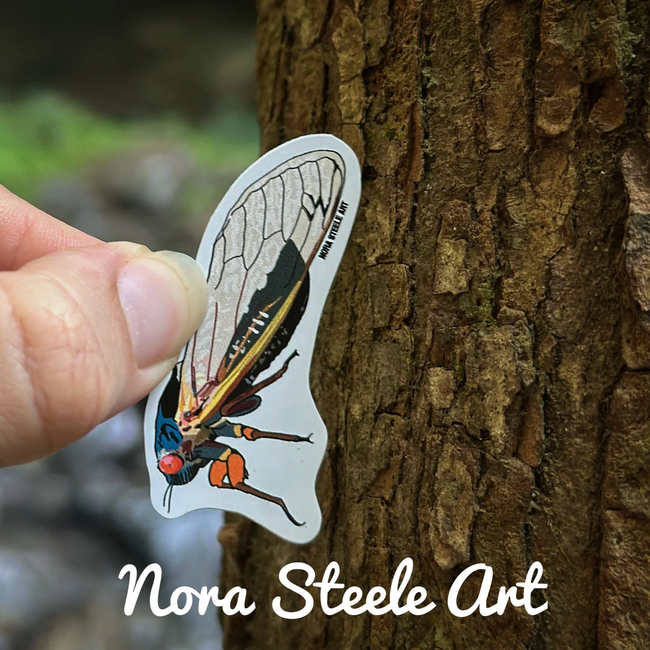 Periodical cicada sticker on a tree