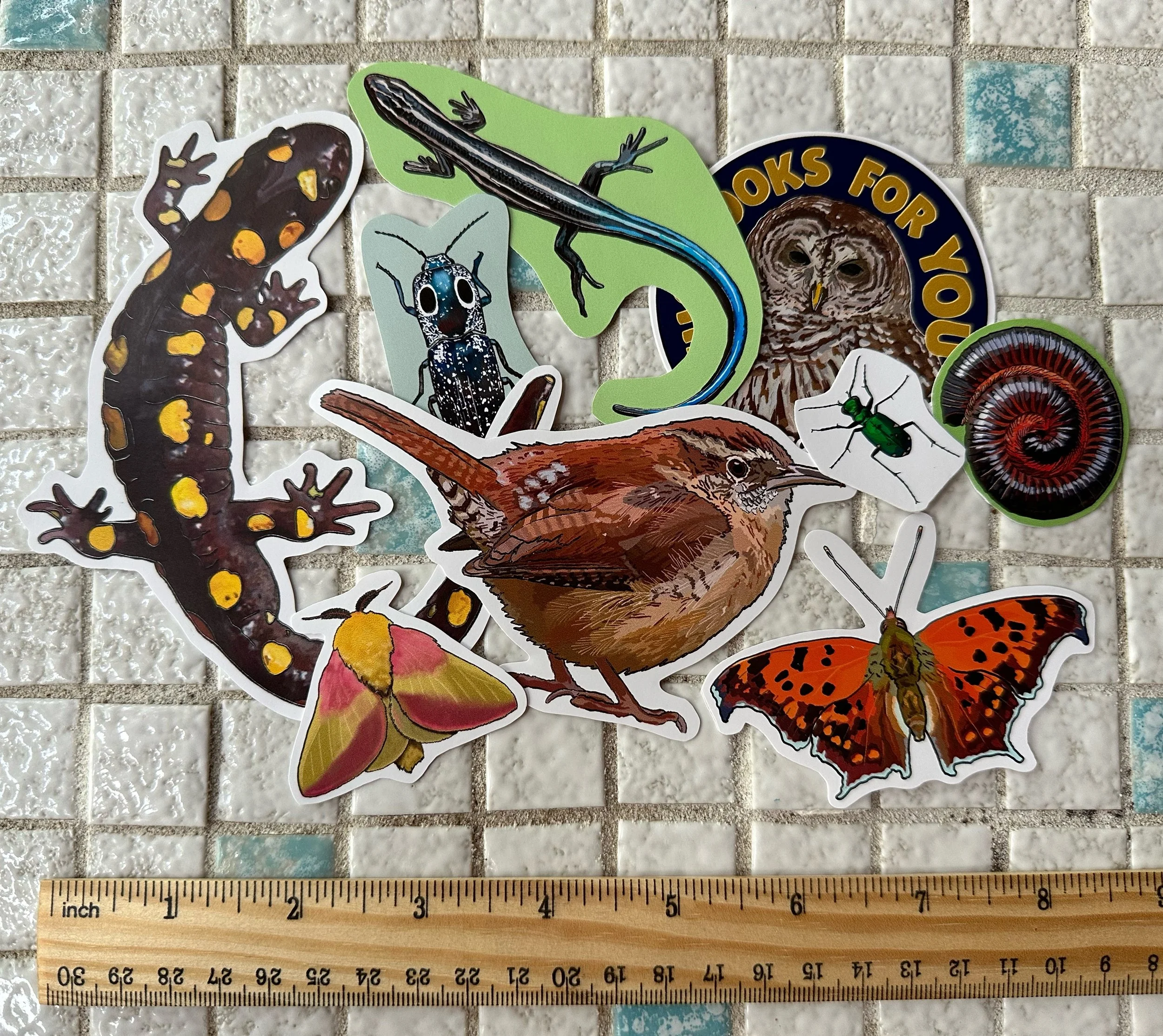On the forest floor sticker pack with a ruler for scale