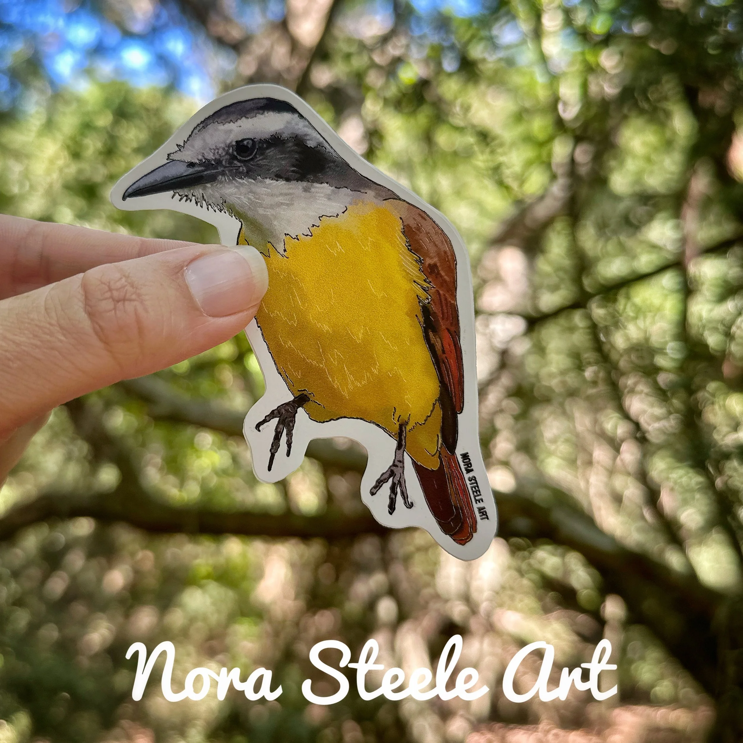 Waterproof Sticker - Great Kiskadee