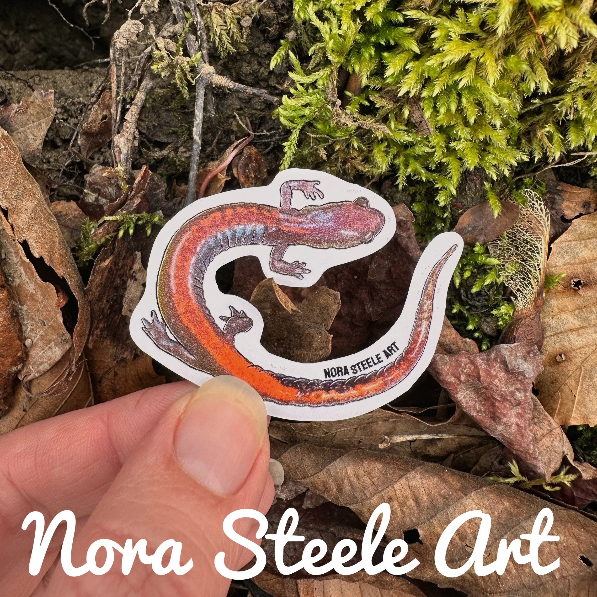 Red-backed salamander on background of leaves and moss
