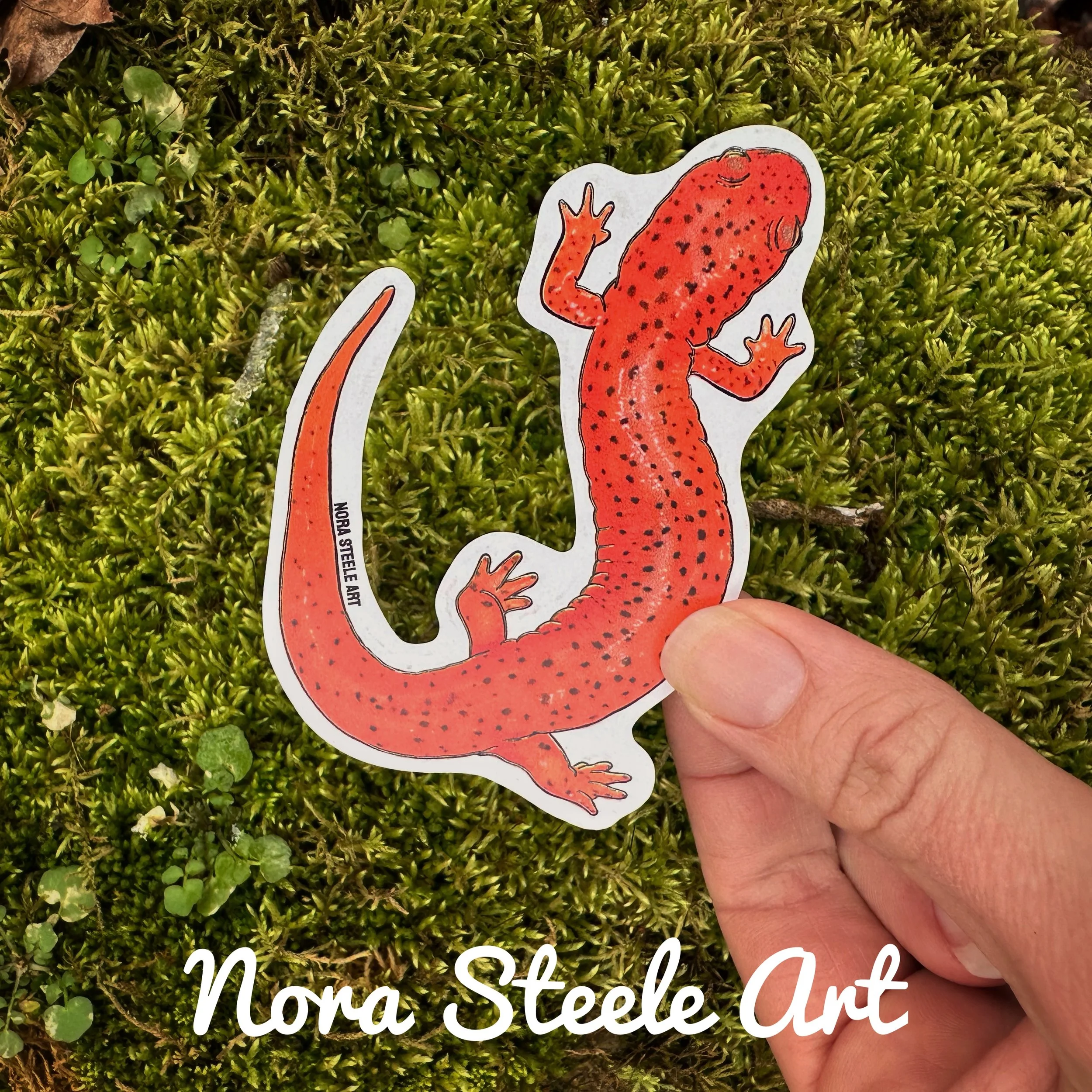 Northern red salamander on background of moss