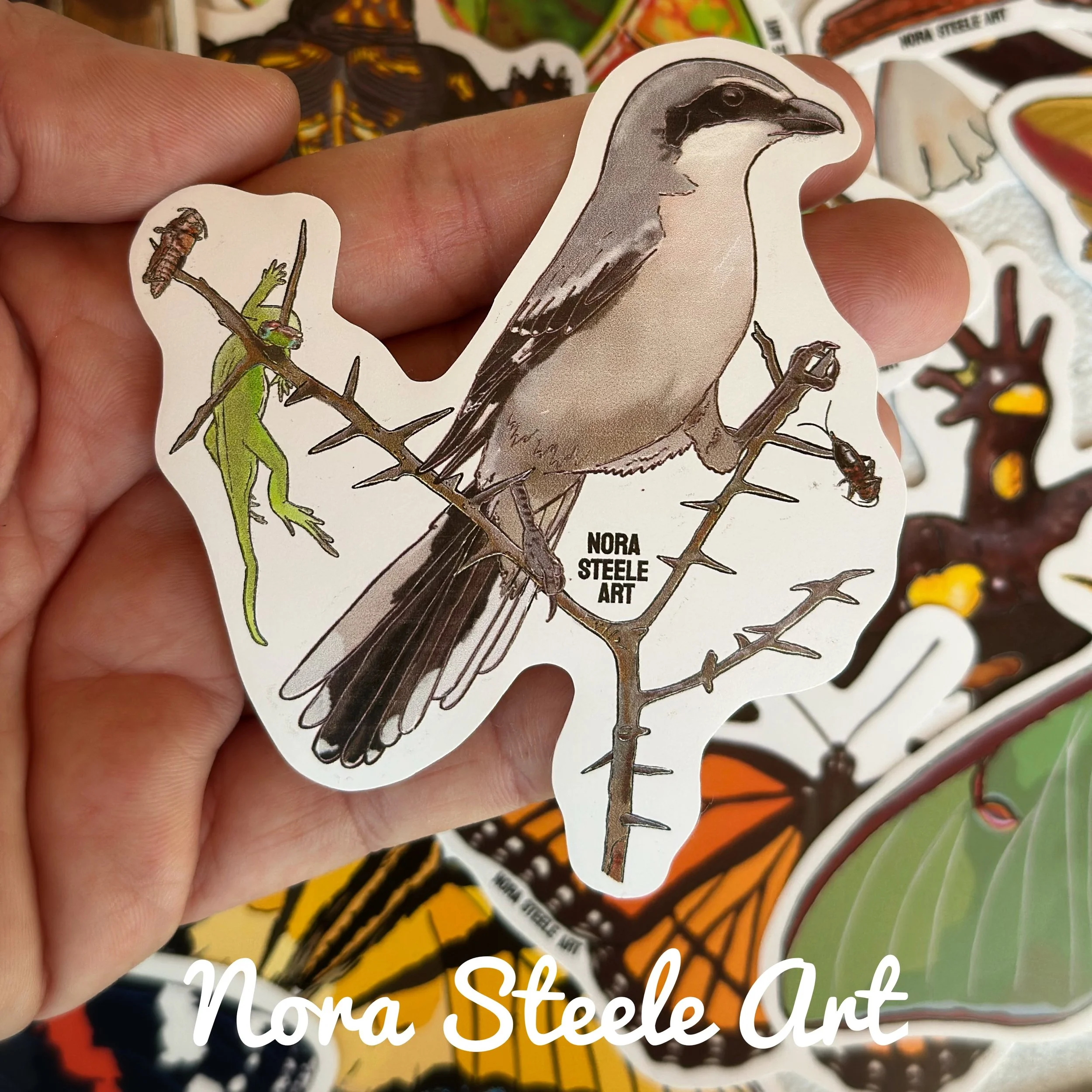 Waterproof Sticker - Loggerhead Shrike