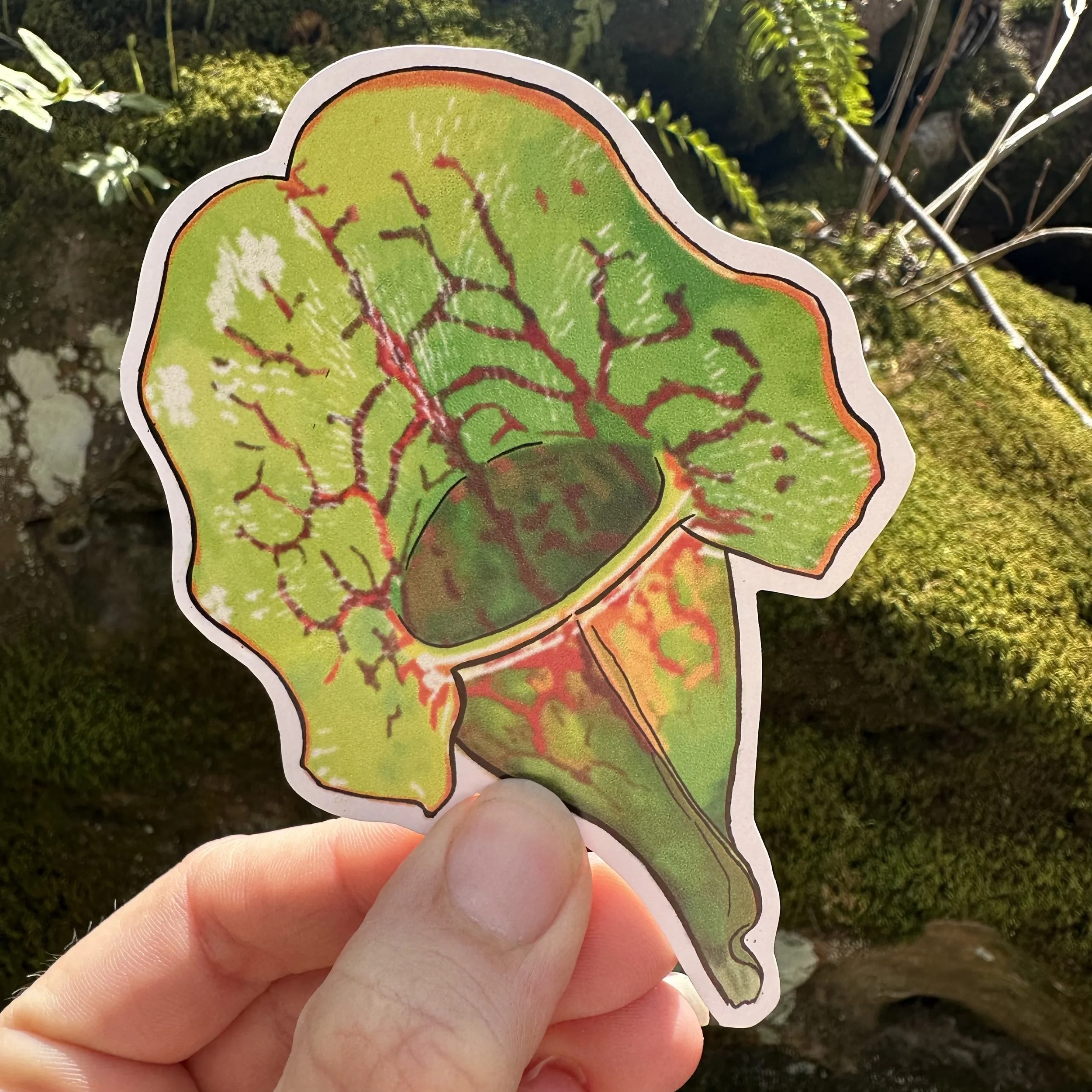 Waterproof Sticker - Purple Pitcher Plant